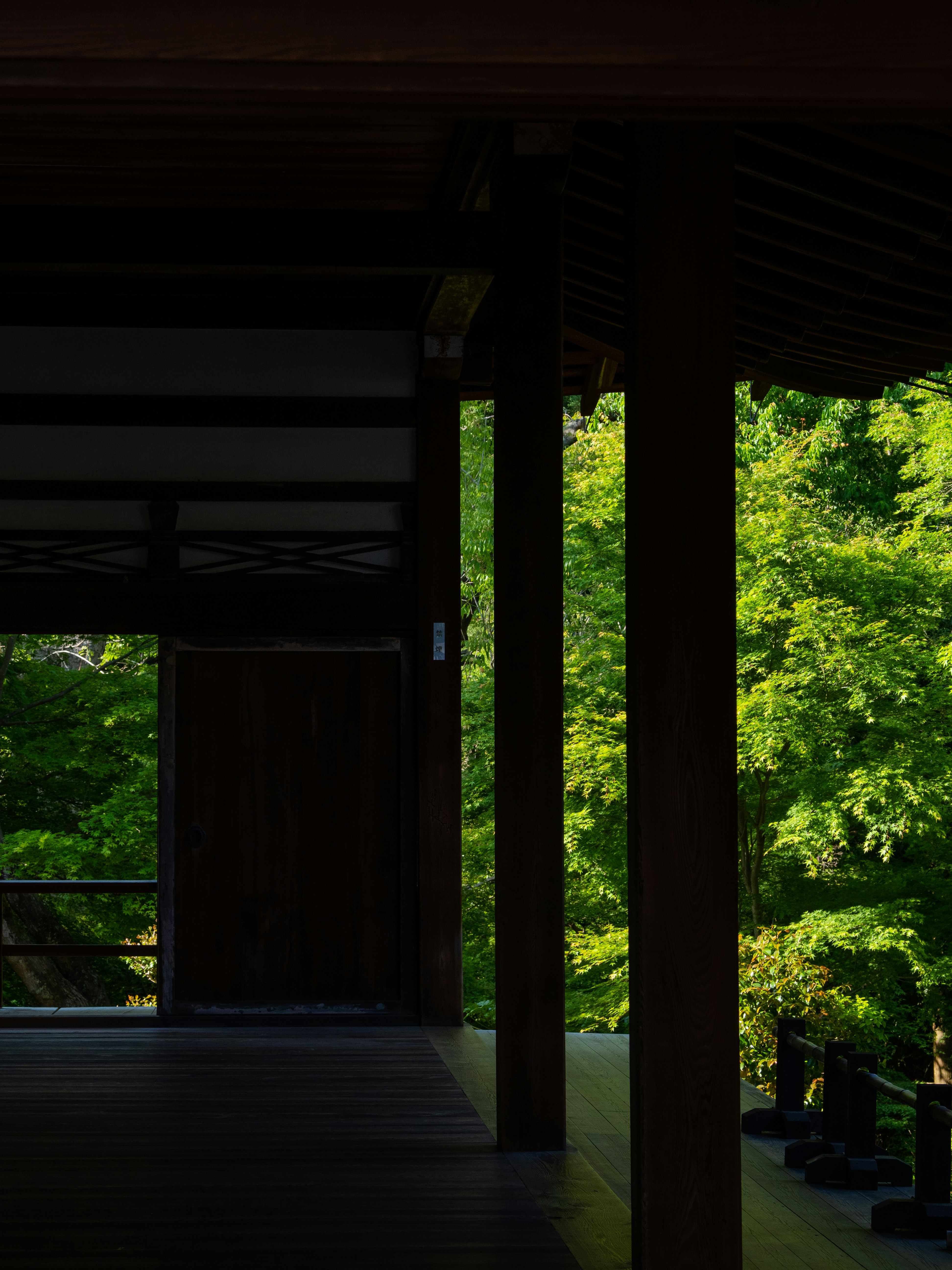 Photo by shellingfordyu