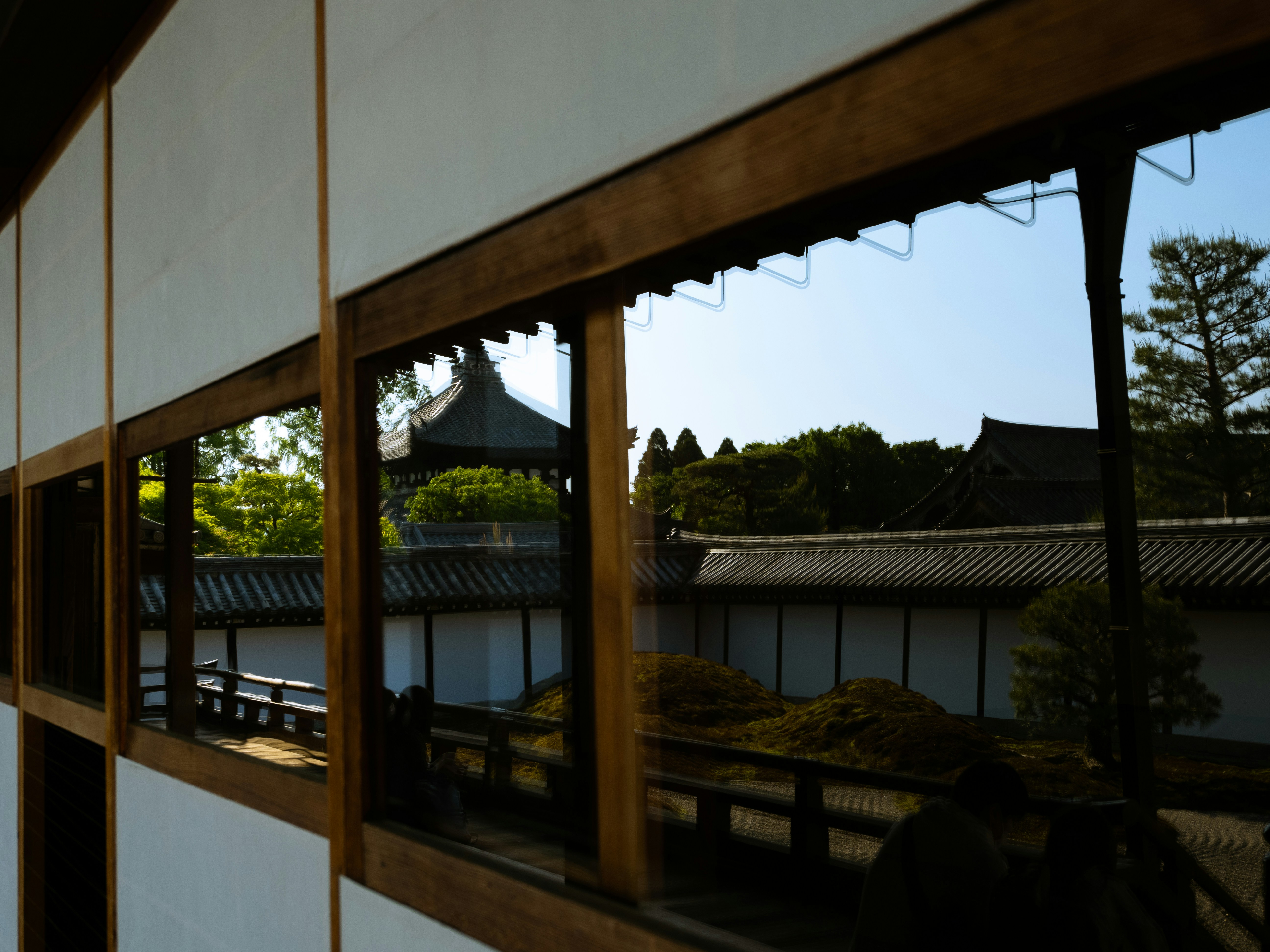 Photo by shellingfordyu