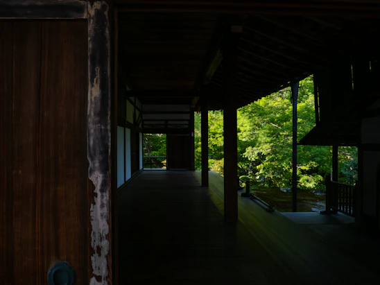 A sunlit veranda of a traditional Kerala homestay surrounded by lush greenery and blooming flowers.