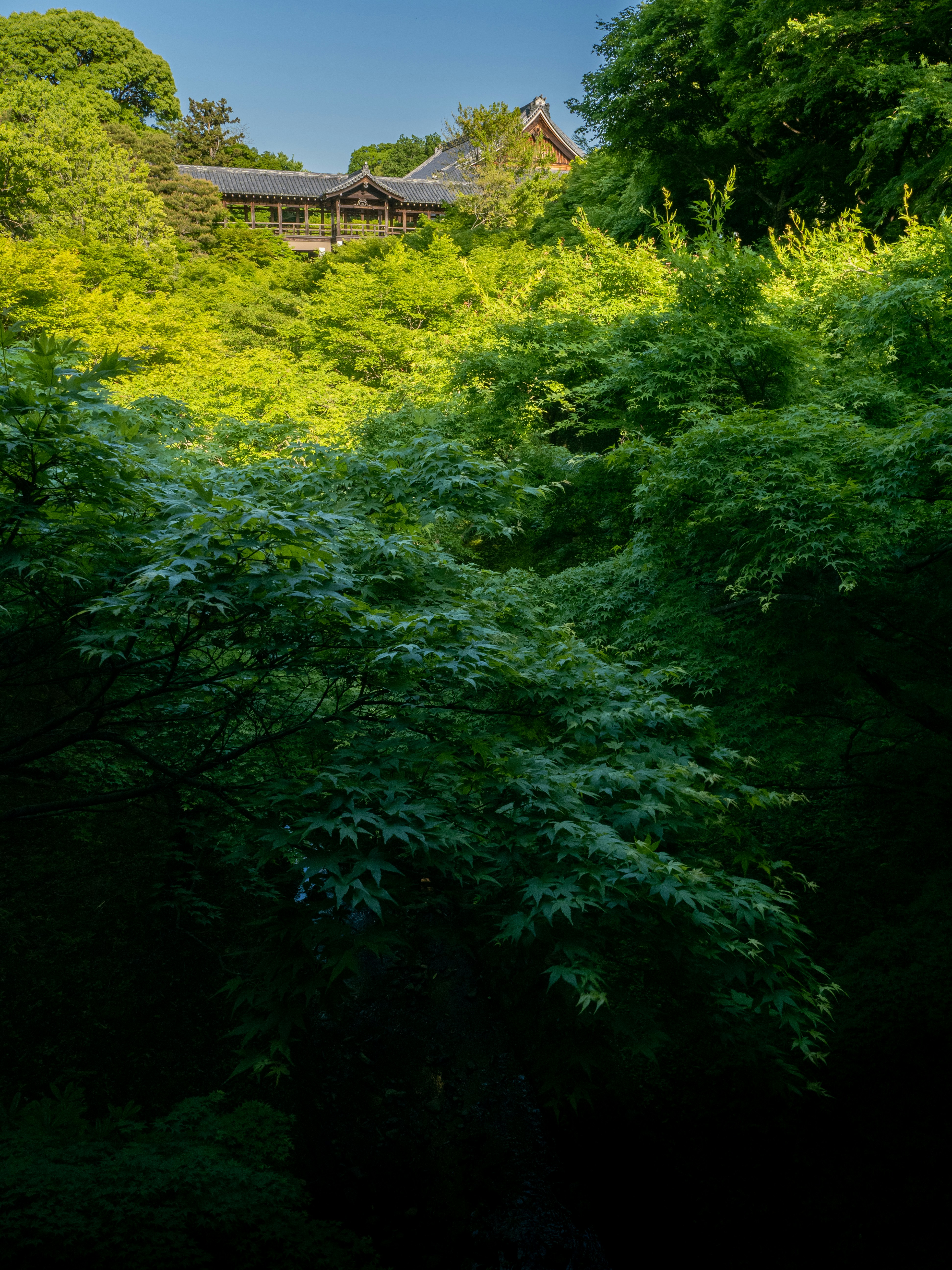 Photo by shellingfordyu