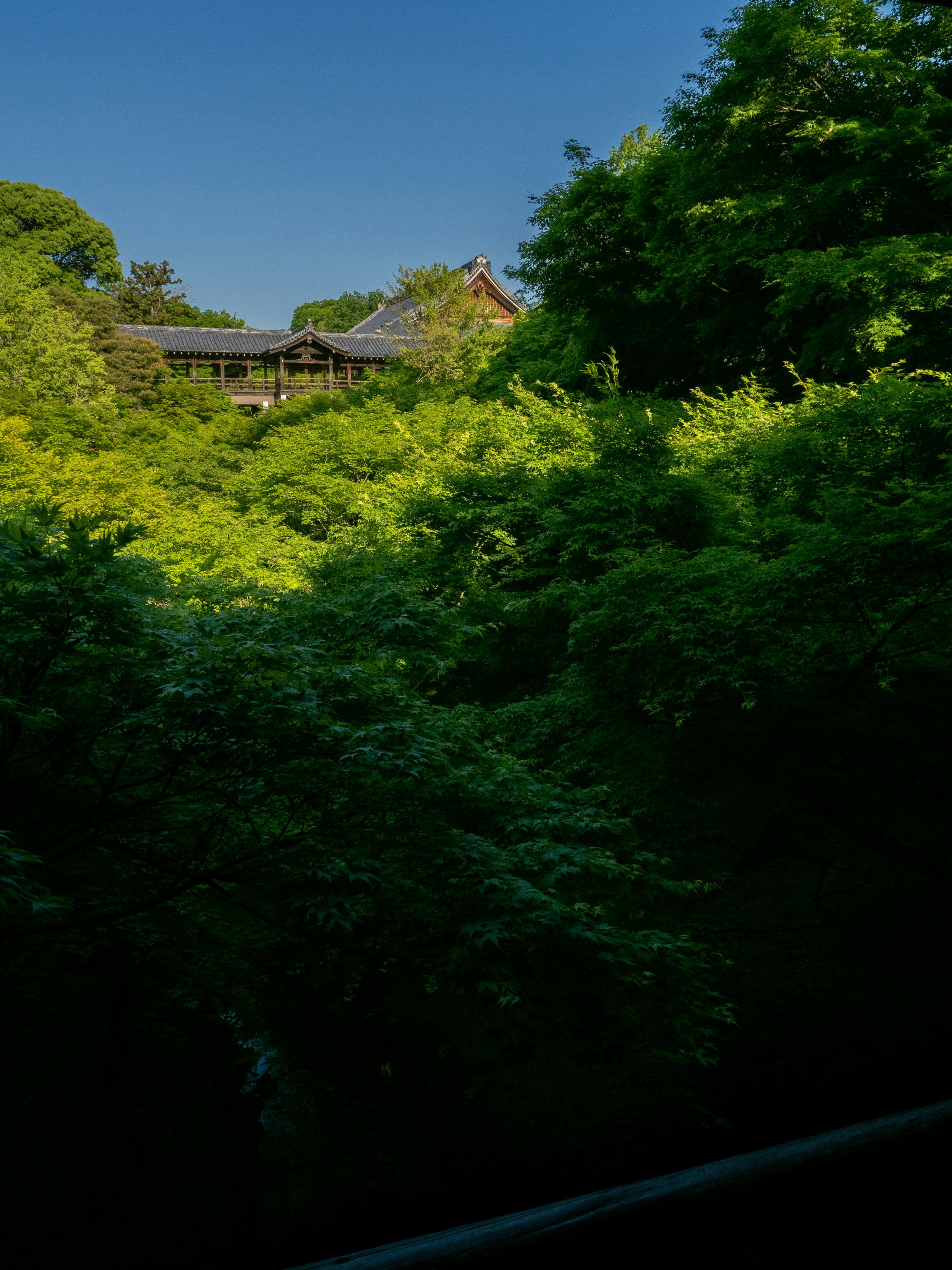 Photo by shellingfordyu