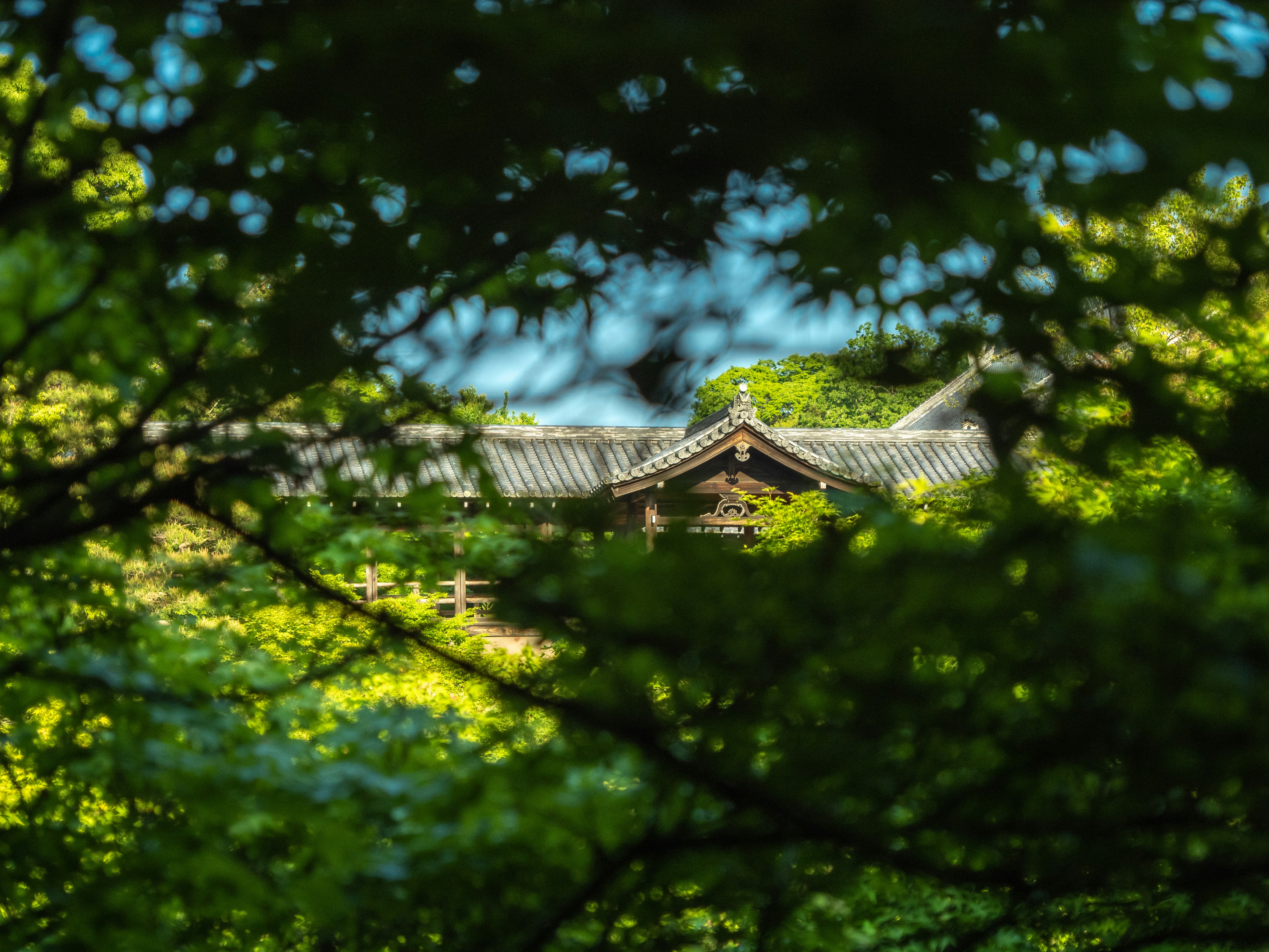 Photo by shellingfordyu