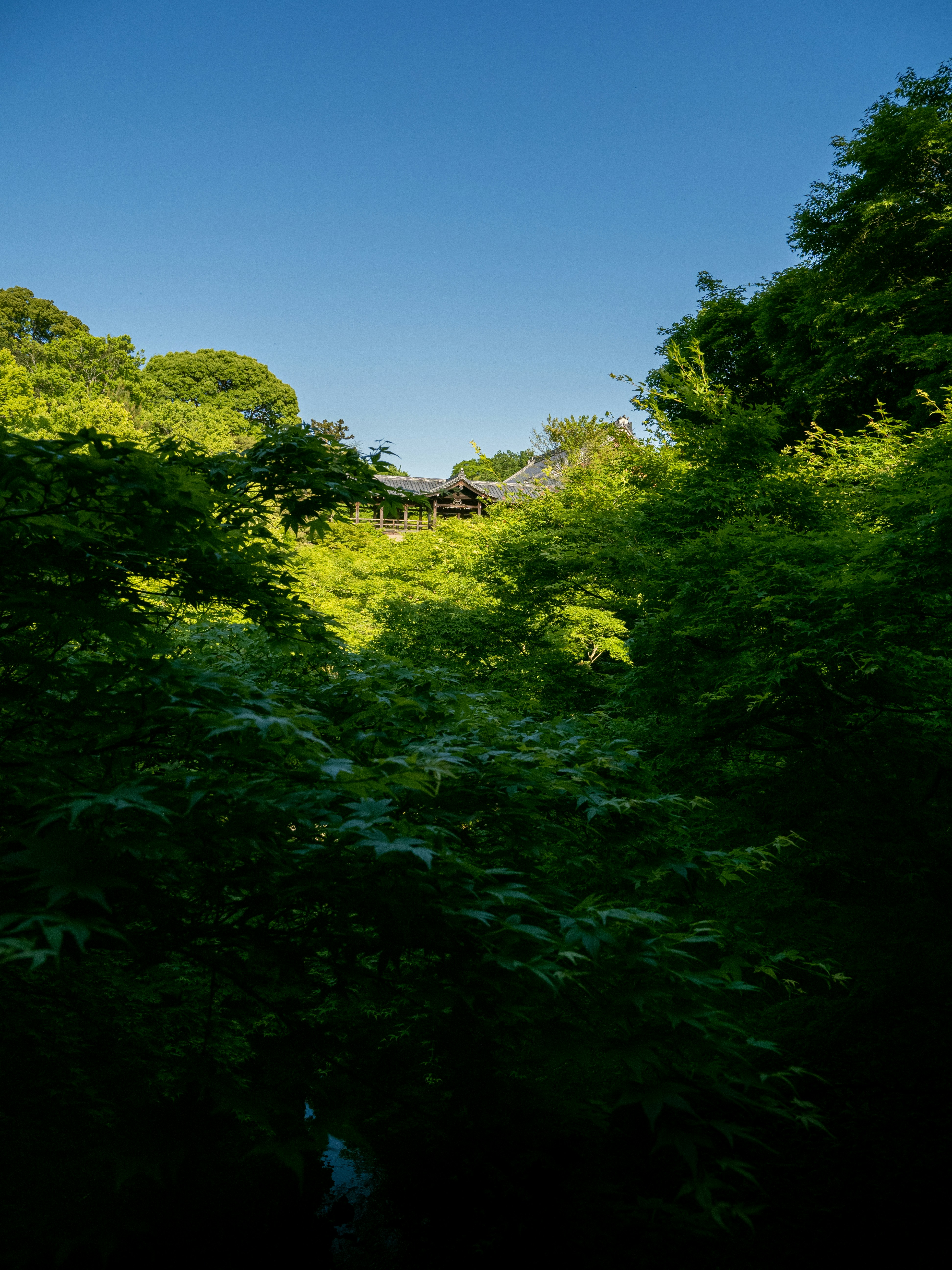 Photo by shellingfordyu