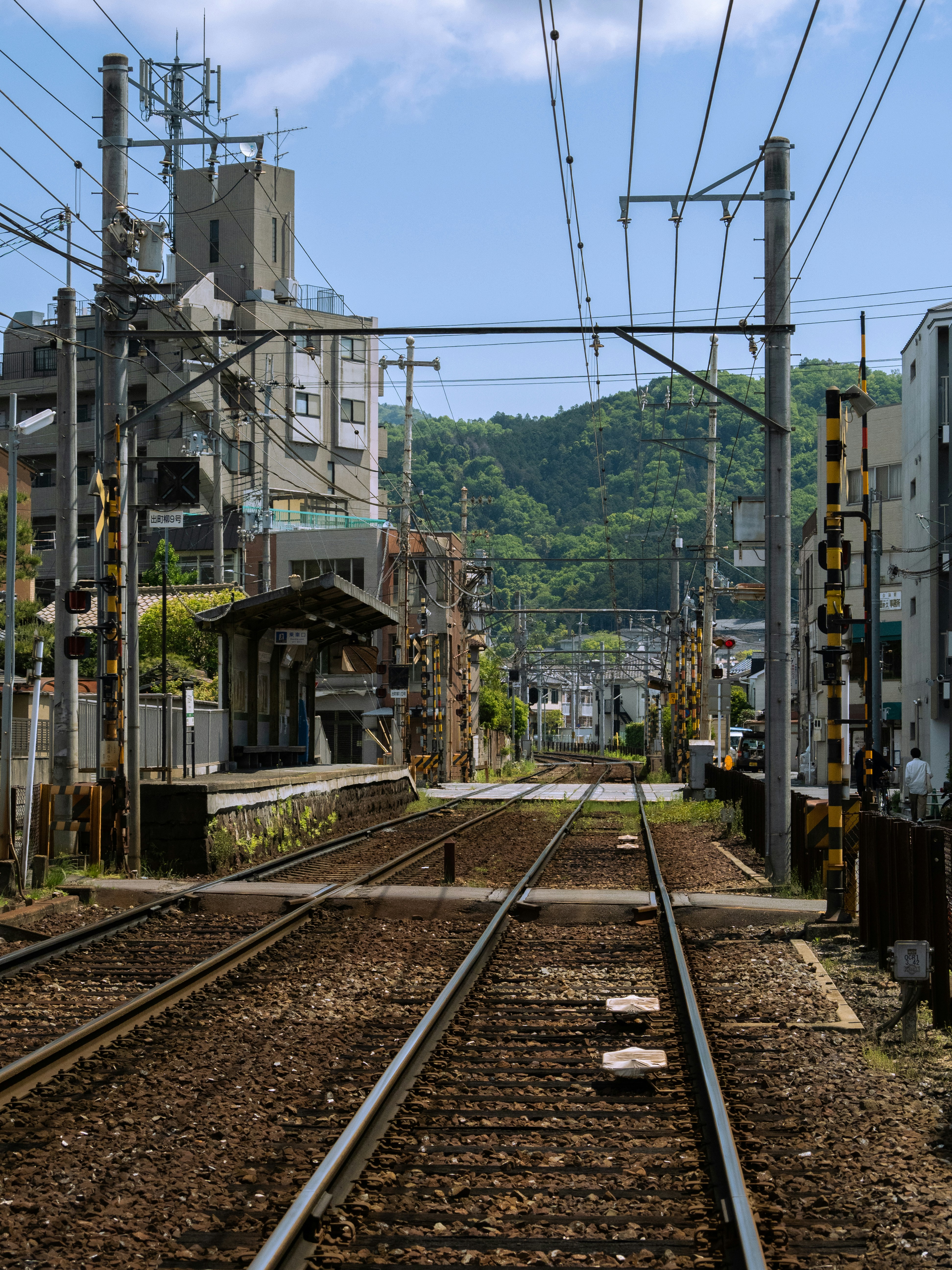 Photo by shellingfordyu