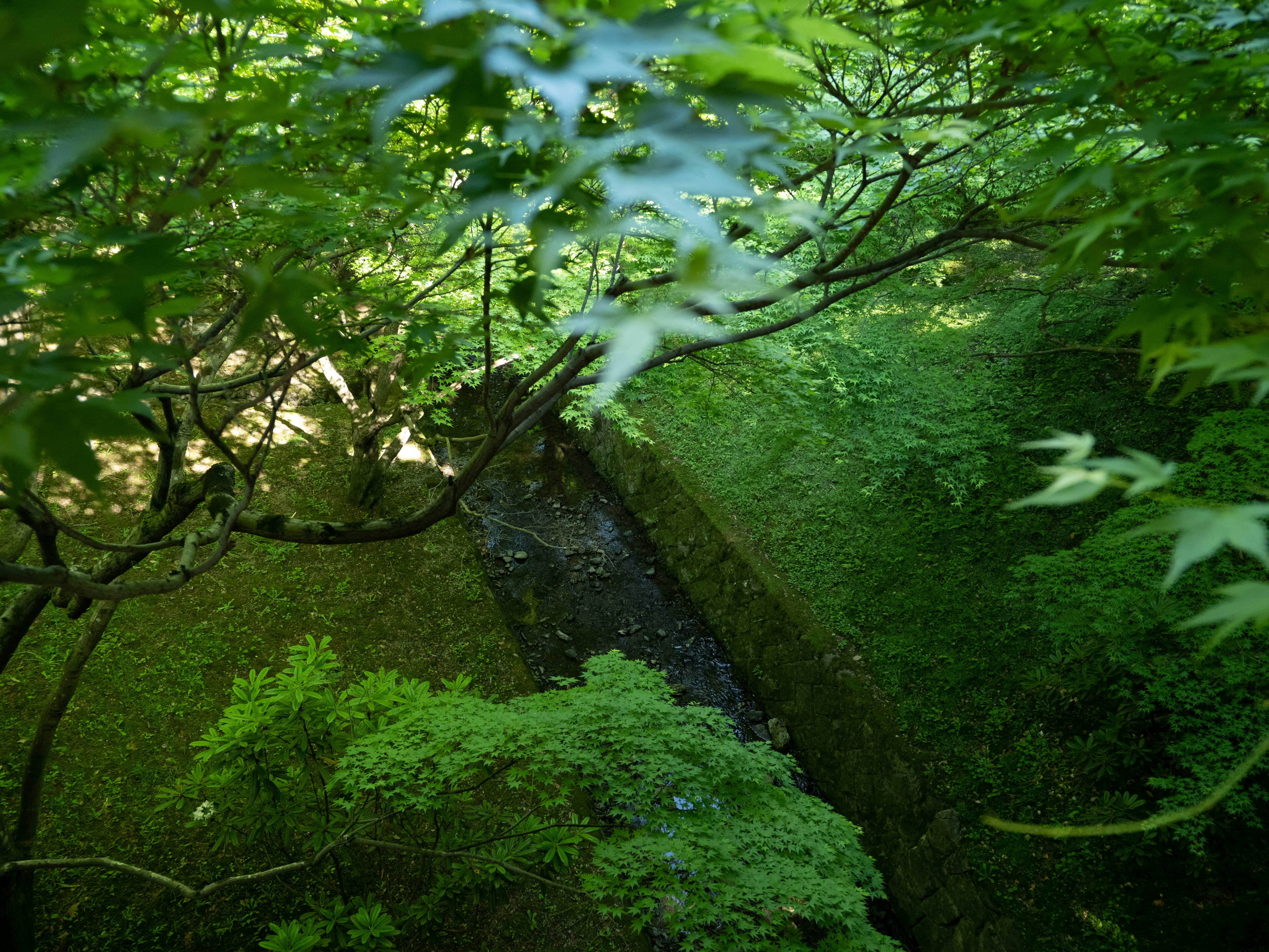 Photo by shellingfordyu