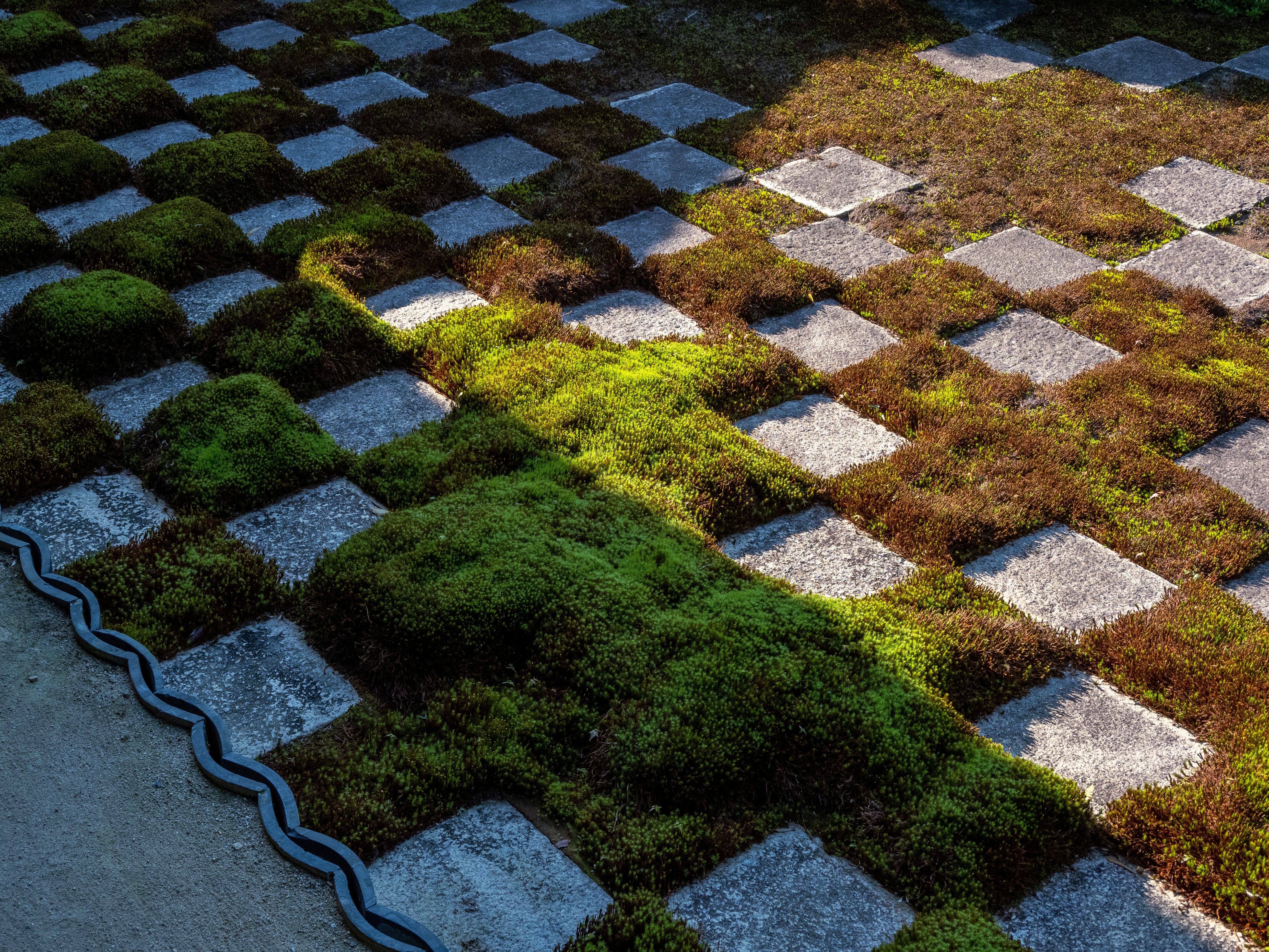 Photo by shellingfordyu