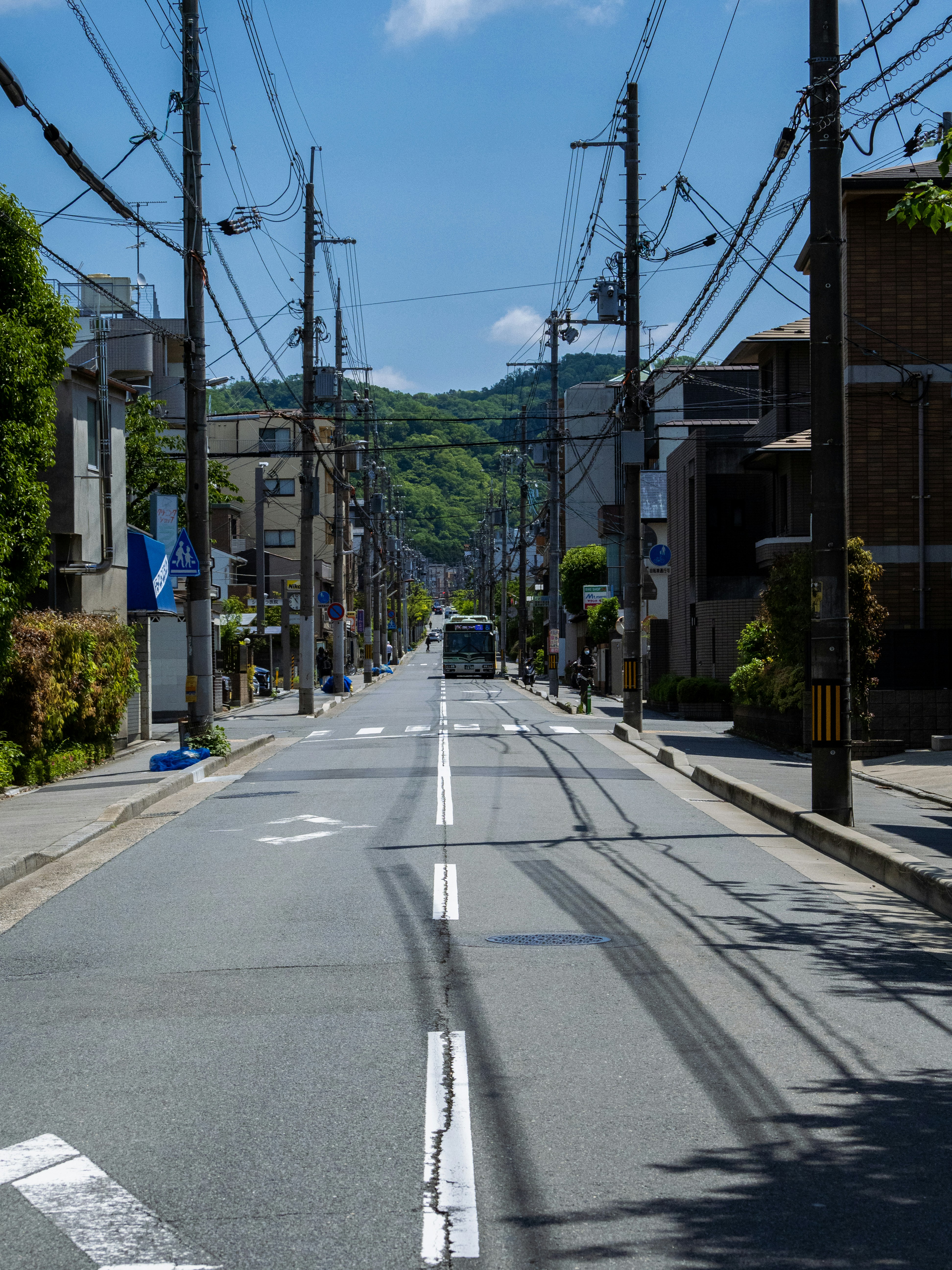 Photo by shellingfordyu