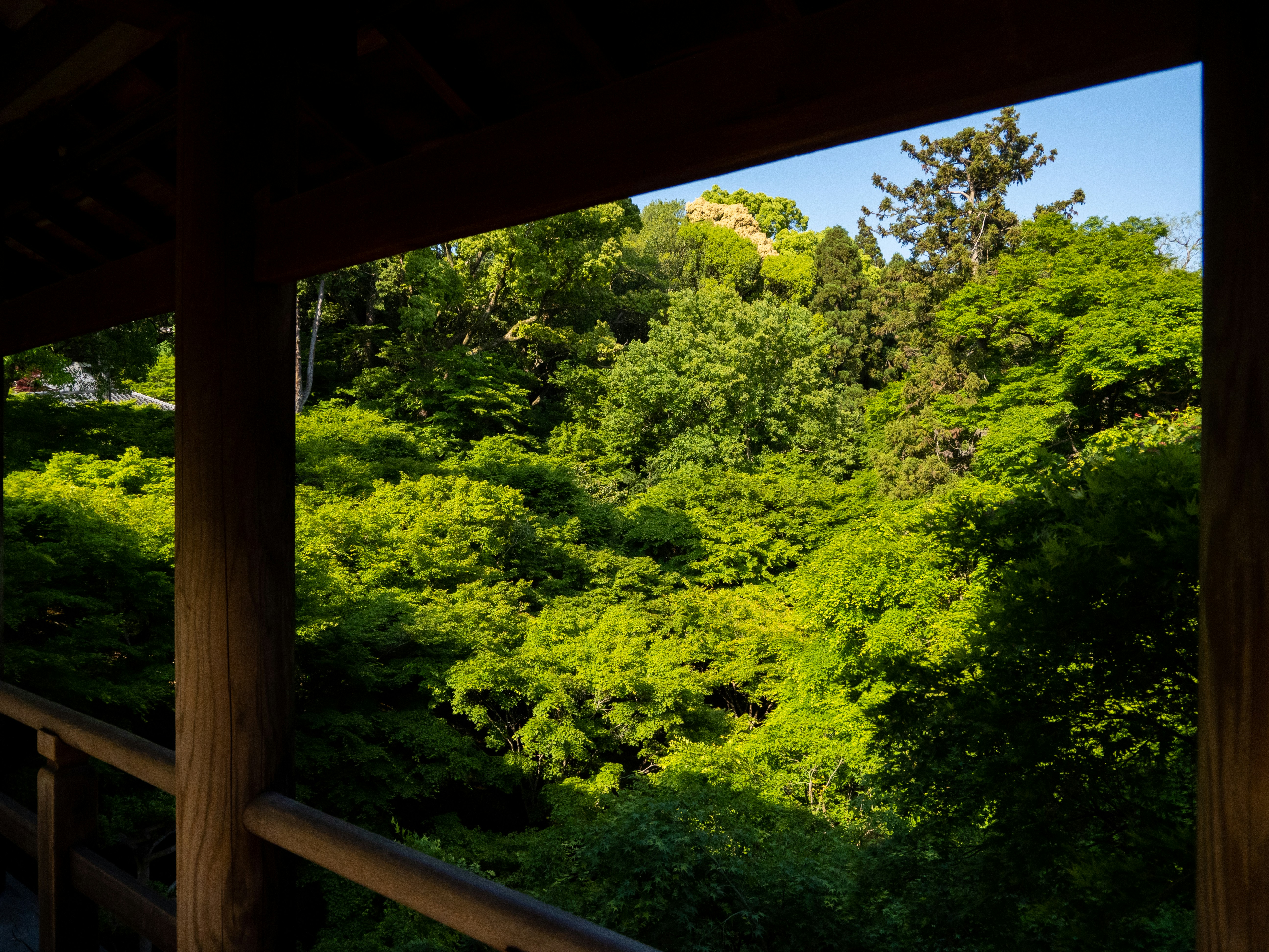 Photo by shellingfordyu