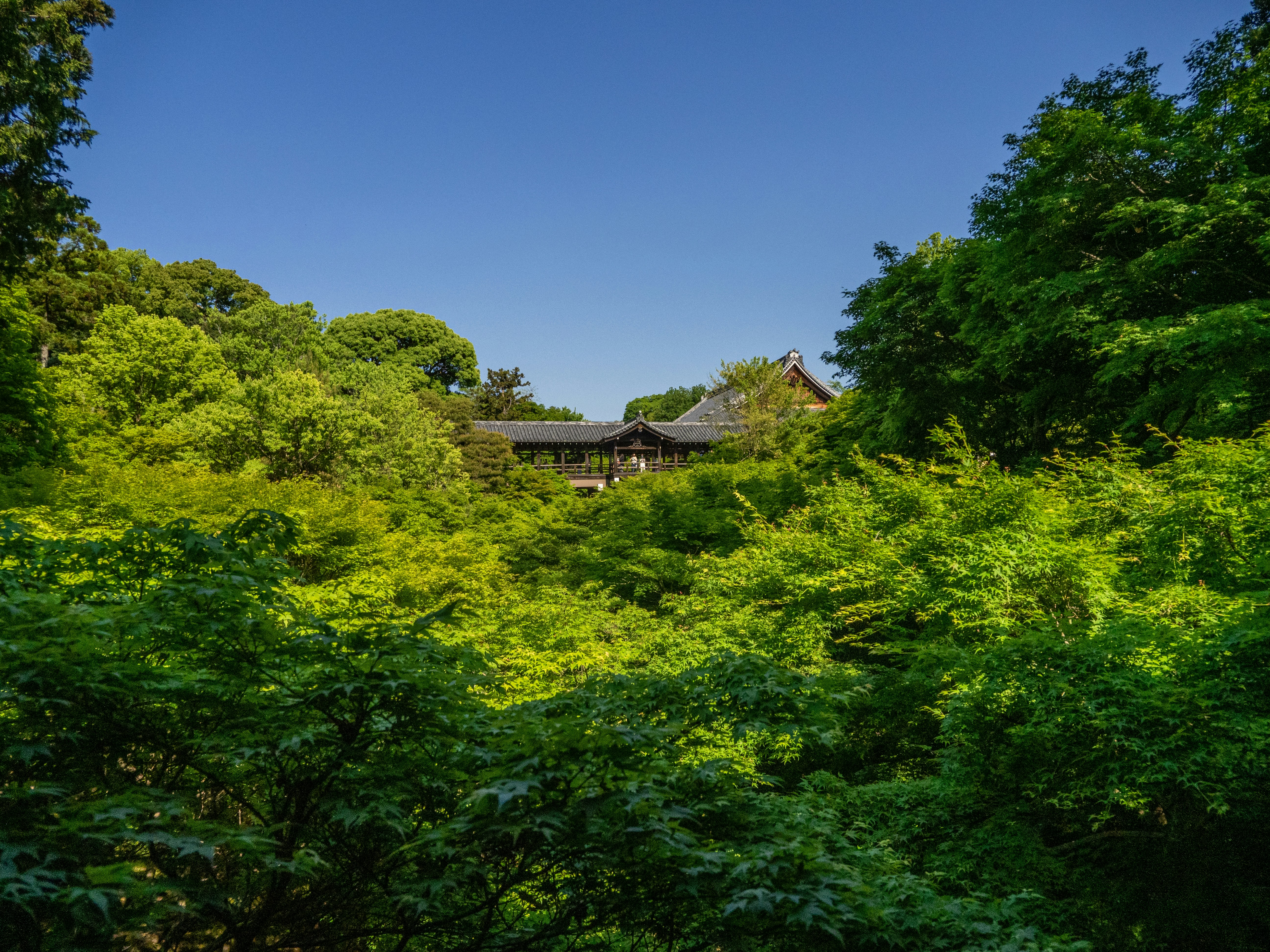 Photo by shellingfordyu