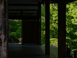 A tranquil wooden terrace with dark wooden pillars overlooks a lush green forest. The light filtering through the trees casts gentle shadows on the wooden floor, creating a serene and peaceful atmosphere.