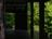 A tranquil wooden terrace with dark wooden pillars overlooks a lush green forest. The light filtering through the trees casts gentle shadows on the wooden floor, creating a serene and peaceful atmosphere.