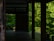 A tranquil wooden terrace with dark wooden pillars overlooks a lush green forest. The light filtering through the trees casts gentle shadows on the wooden floor, creating a serene and peaceful atmosphere.