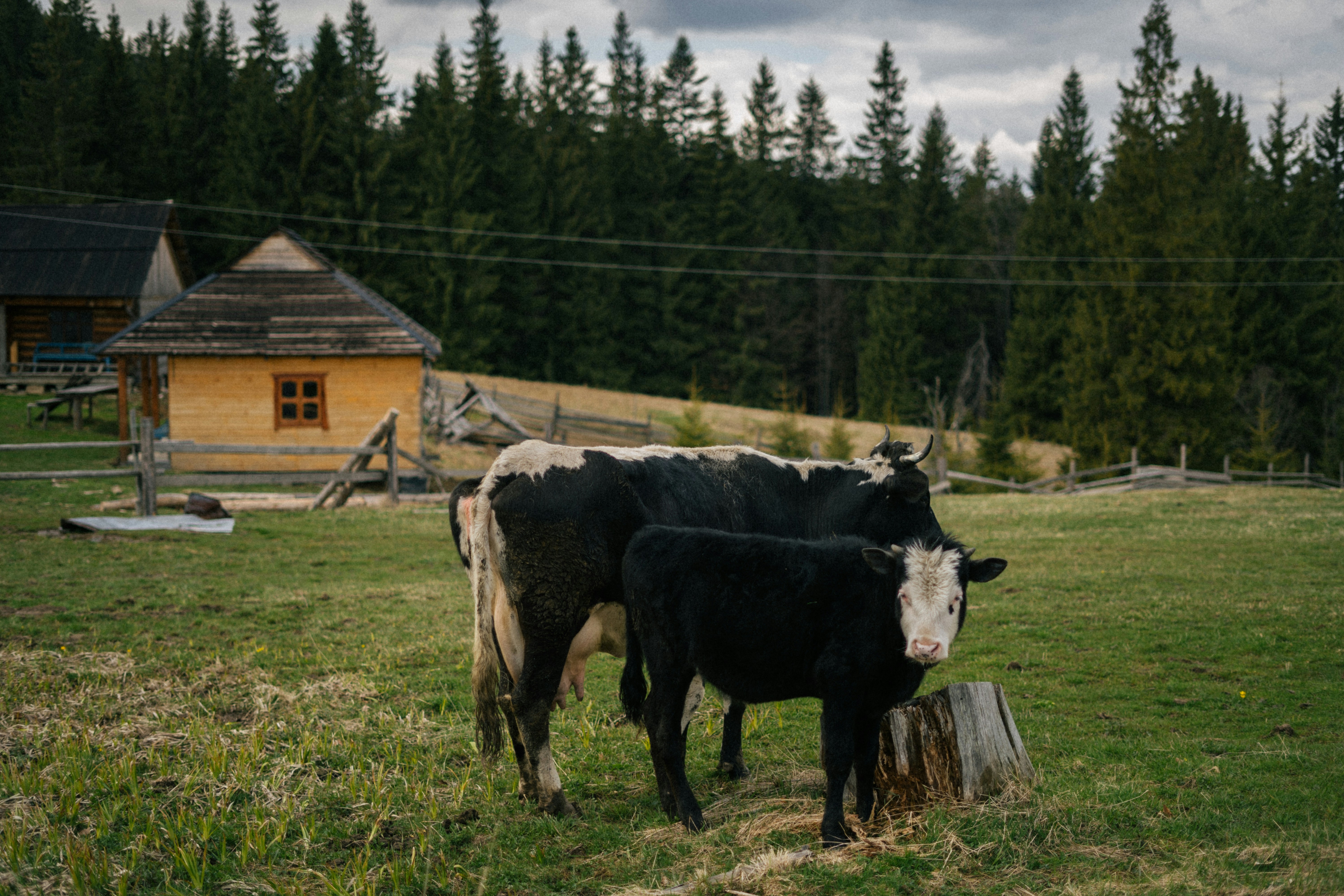 Photo by fedorchenkoalina