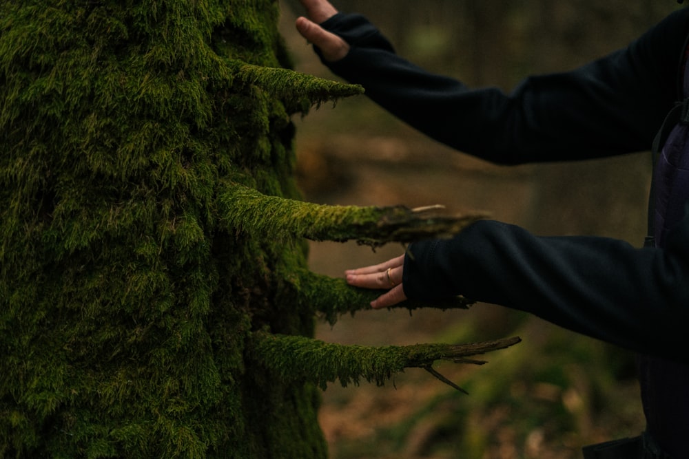 a person standing in a forest