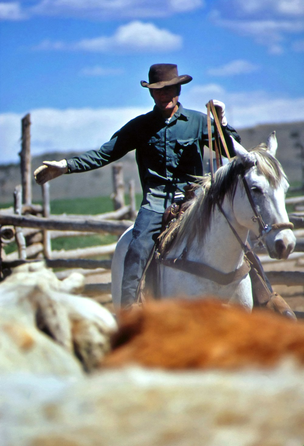 una persona che cavalca un cavallo