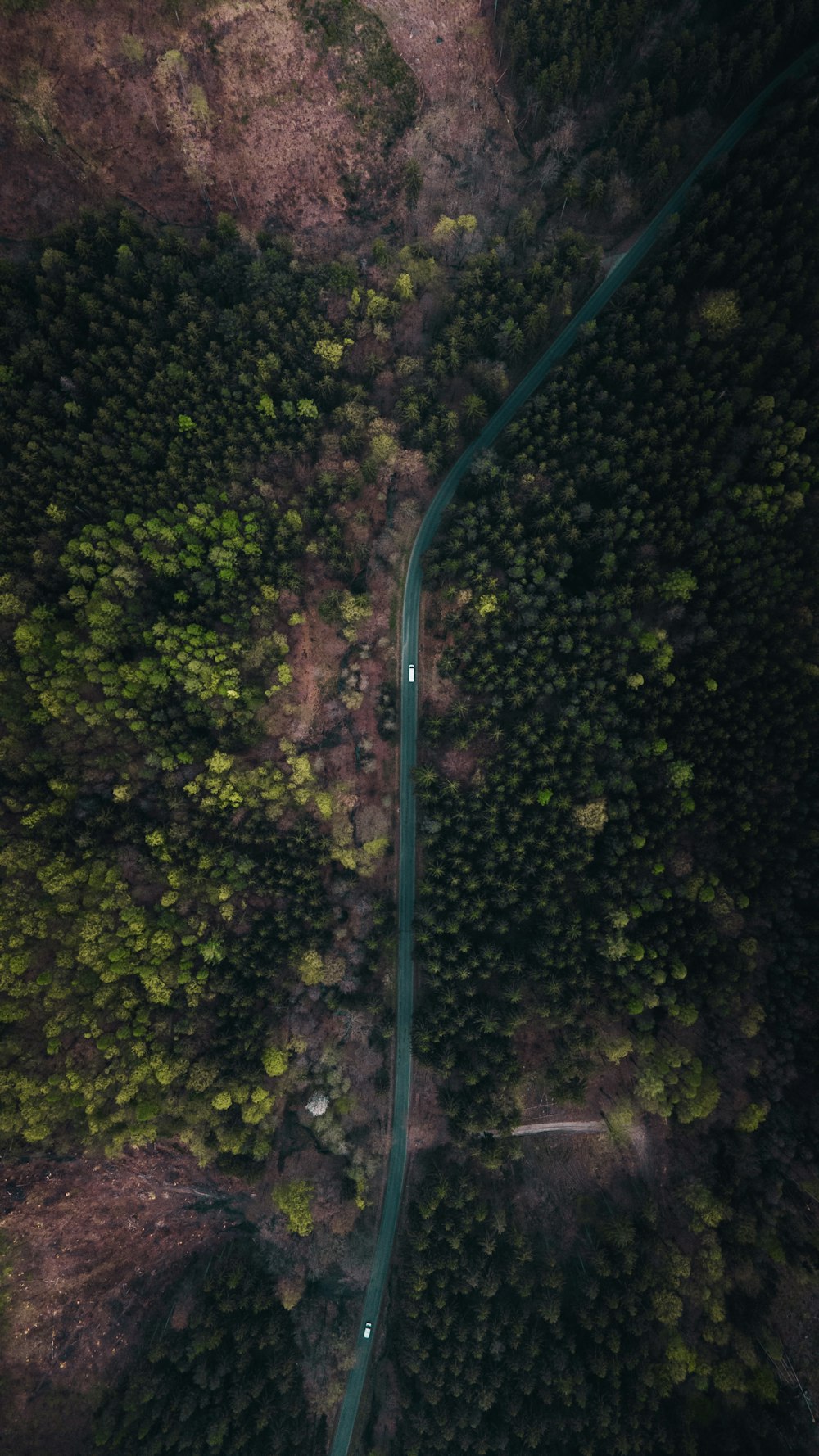 a winding road through a forest