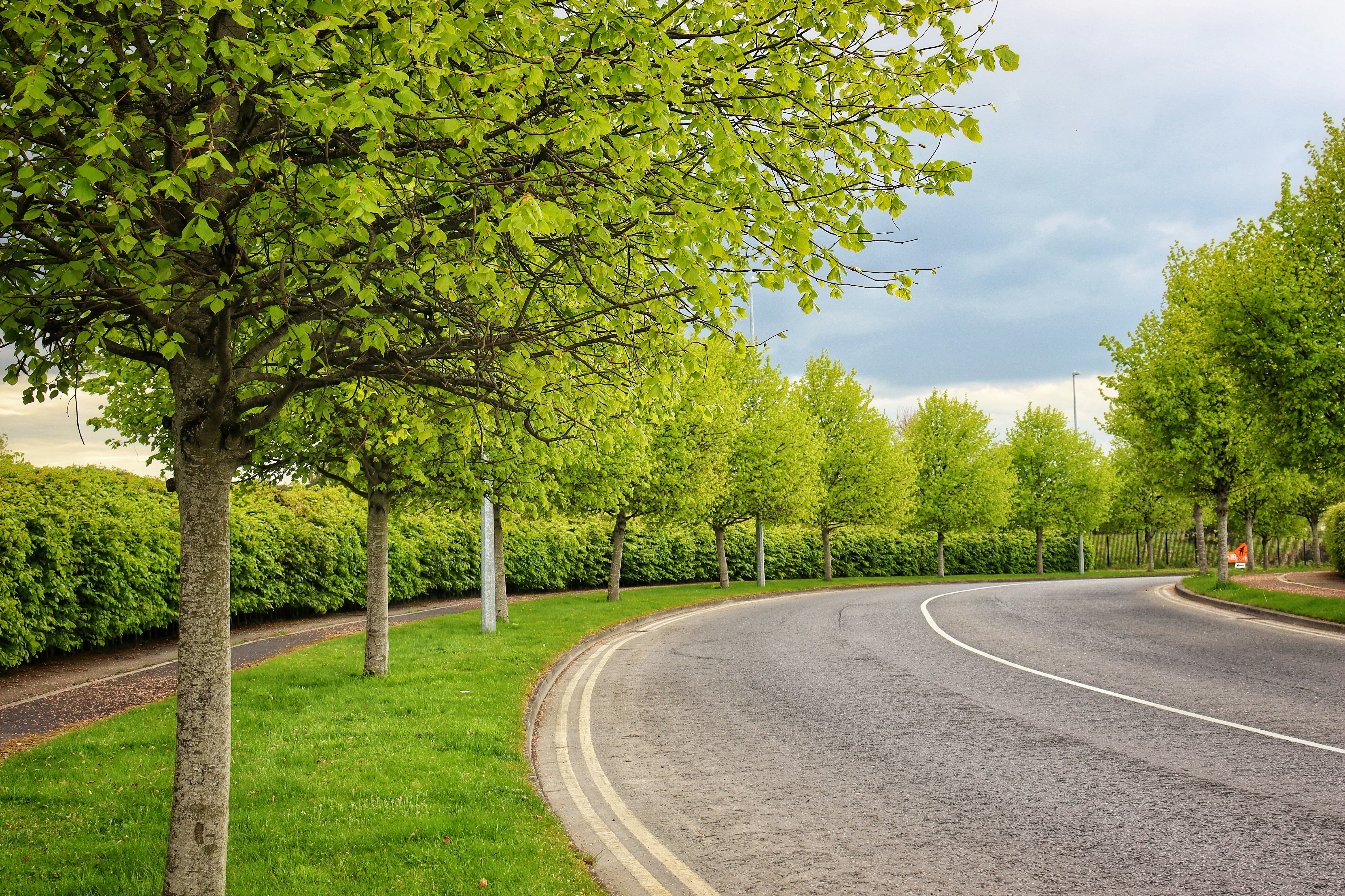 Photo by jibinpmathew787