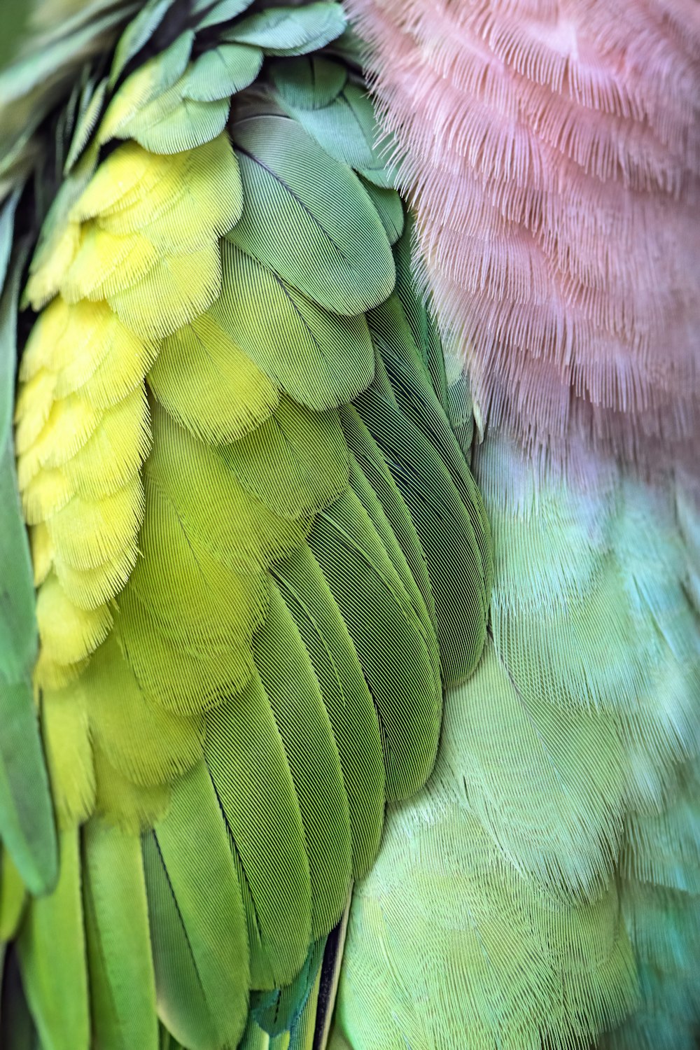 ein Haufen buntes Garn