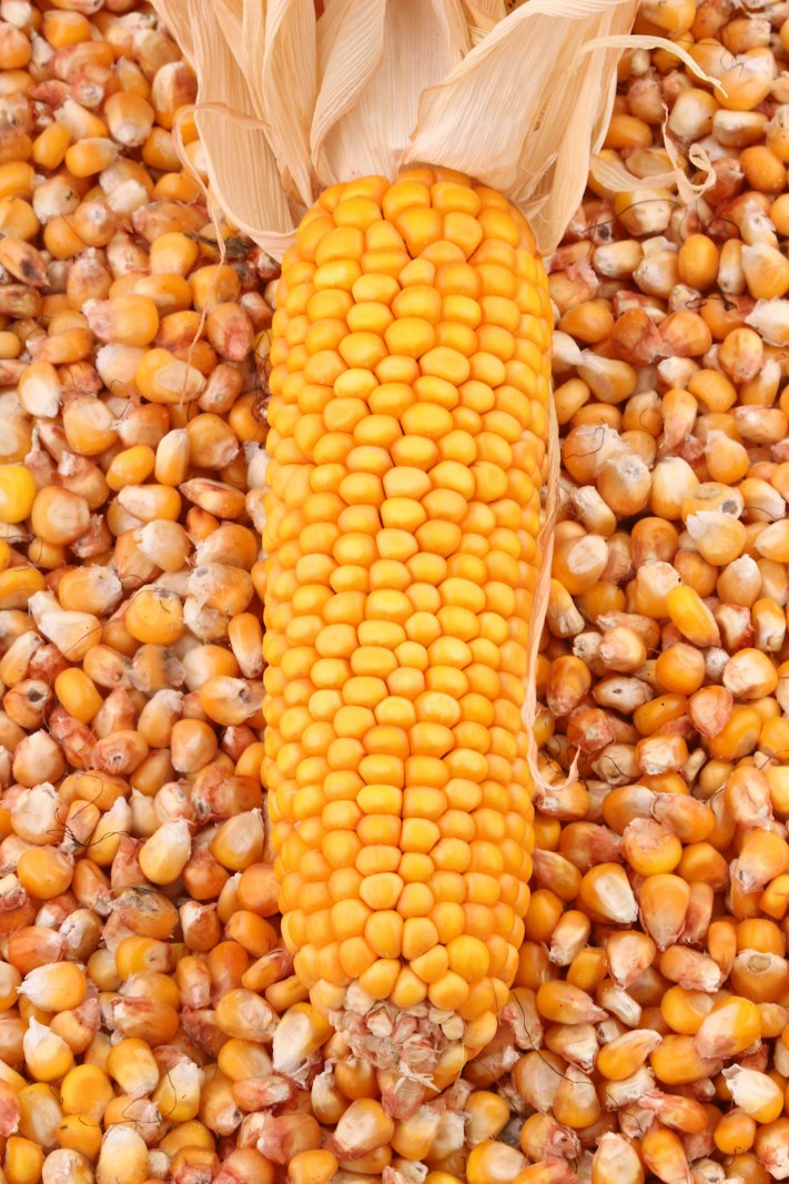 Sonrası