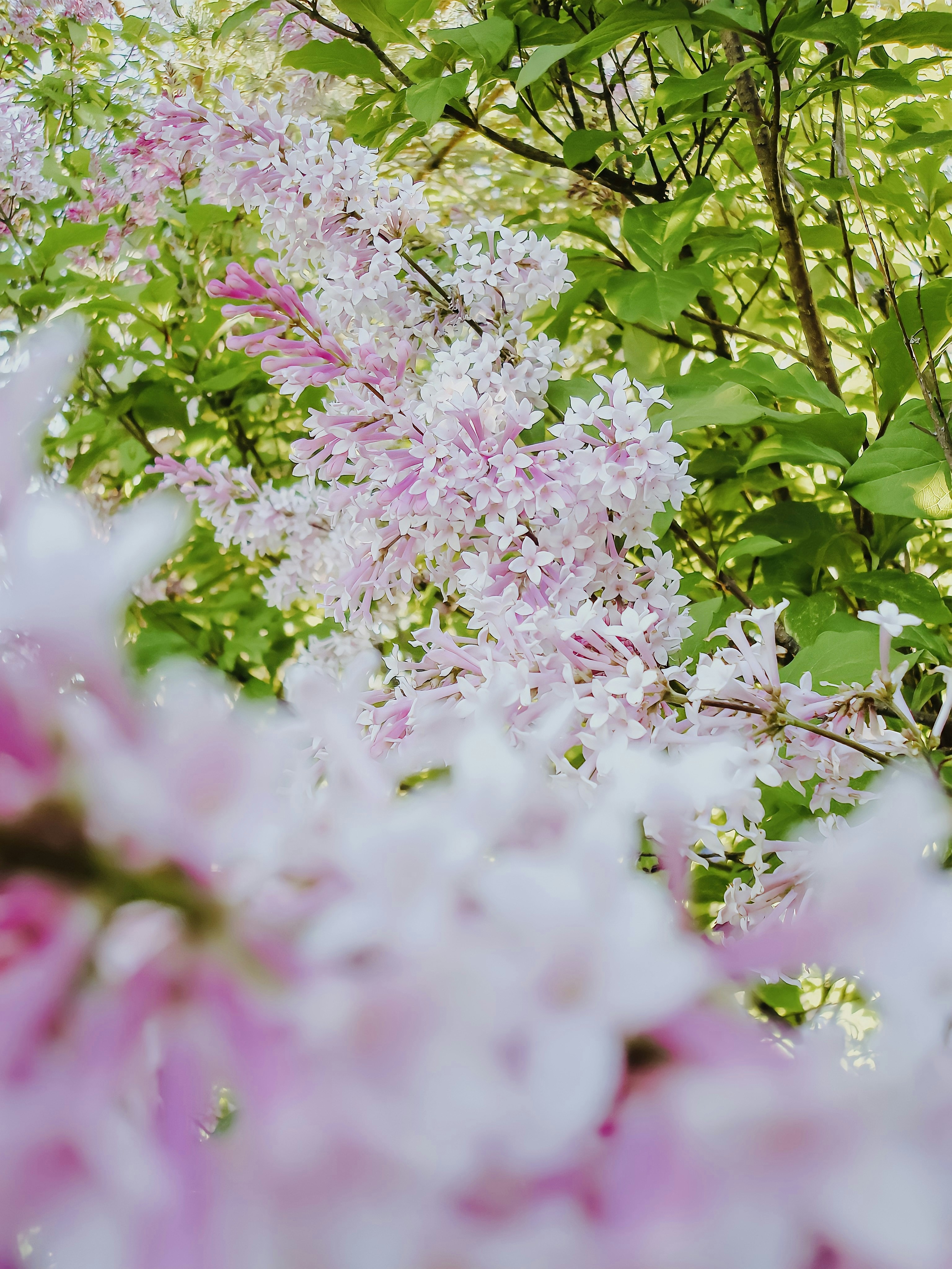 Photo by eugene_golovesov