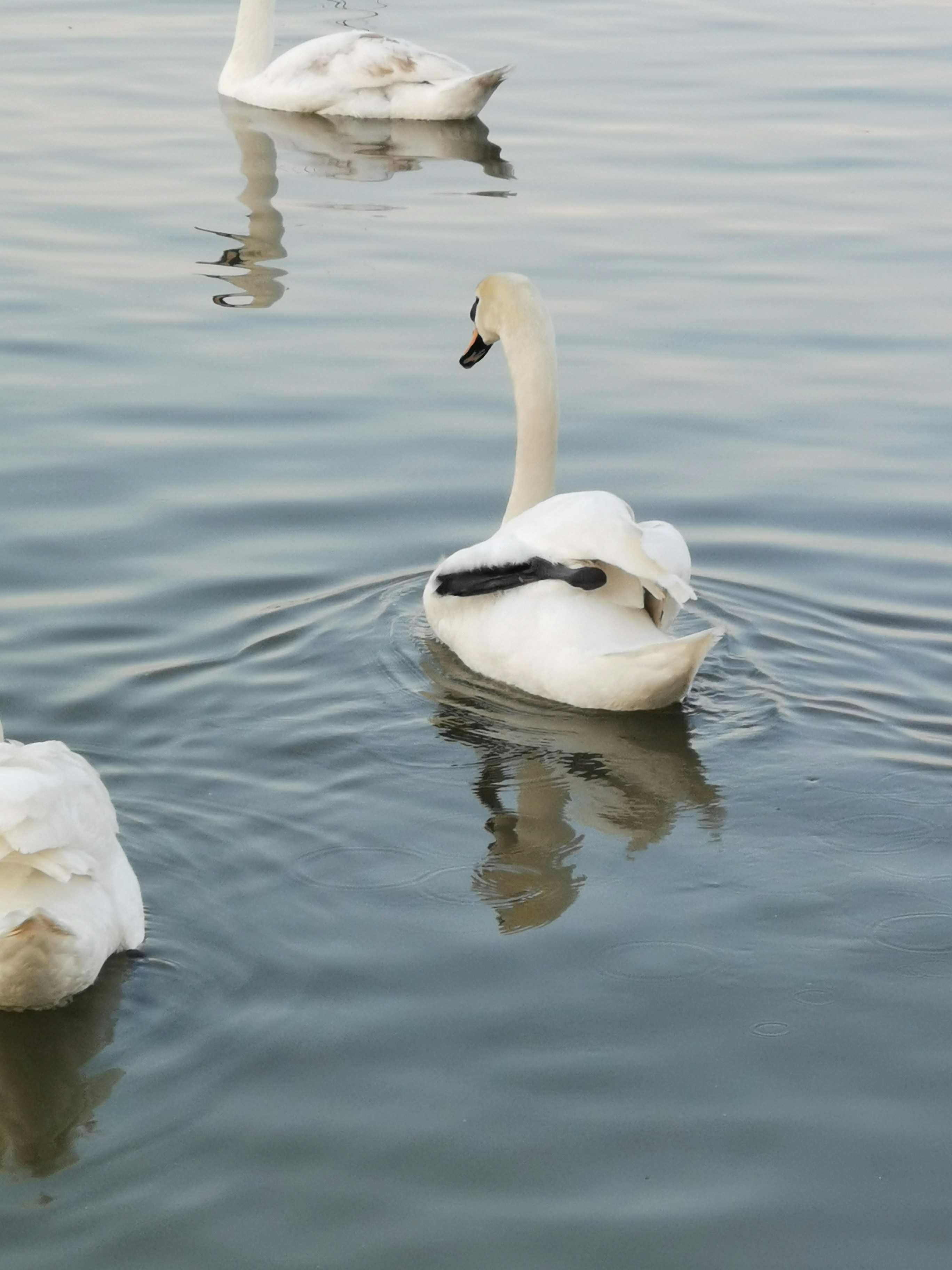 Photo by vojagvozdic