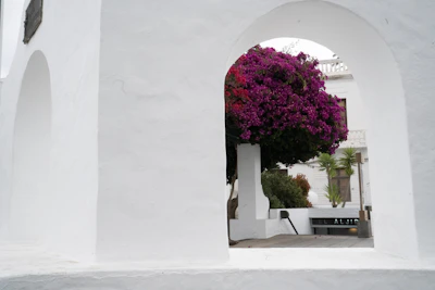 Outdoor patio with traditional Andalusian arches and blooming bougainvillea.