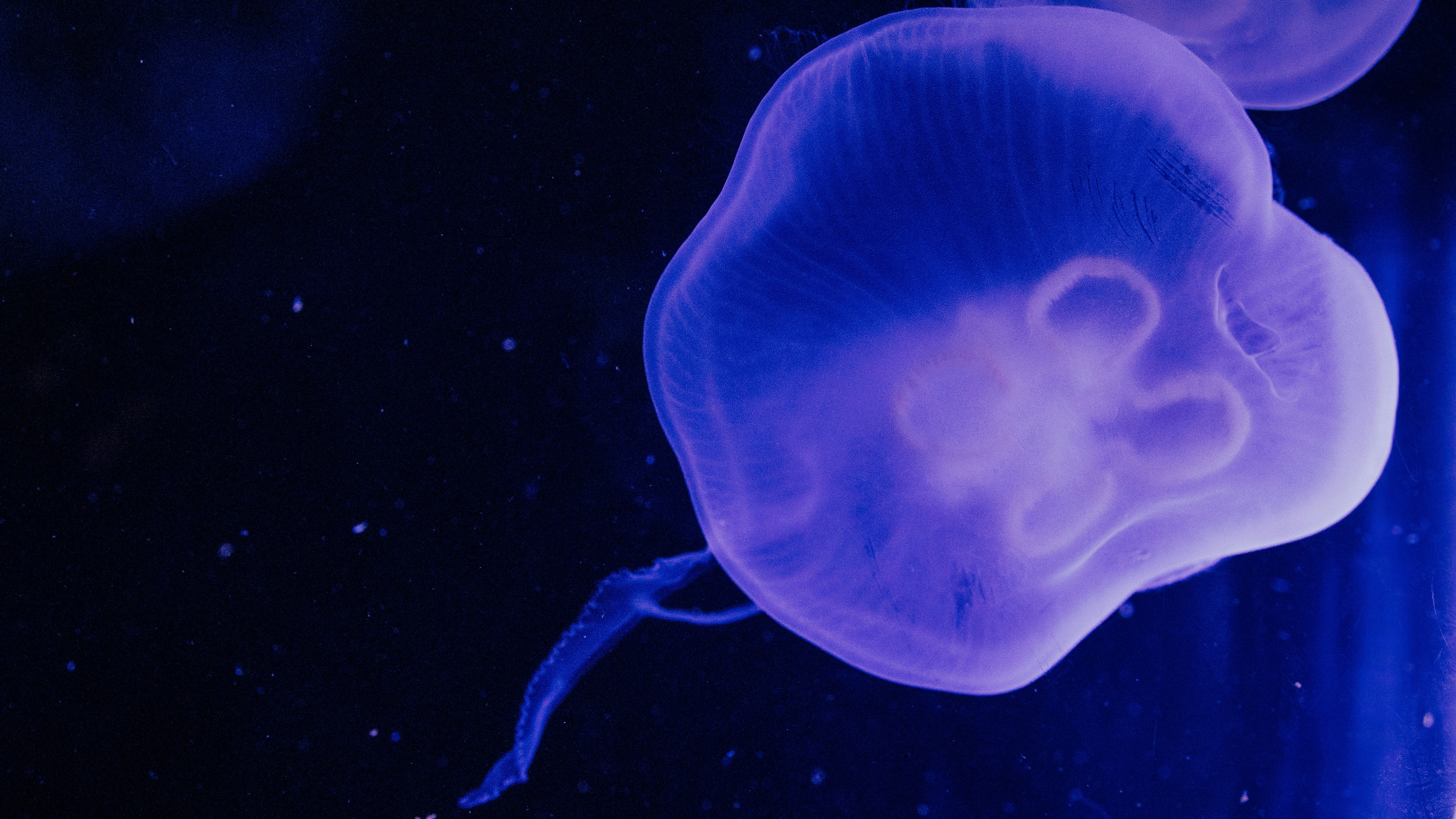 Photo by brianna_santellan