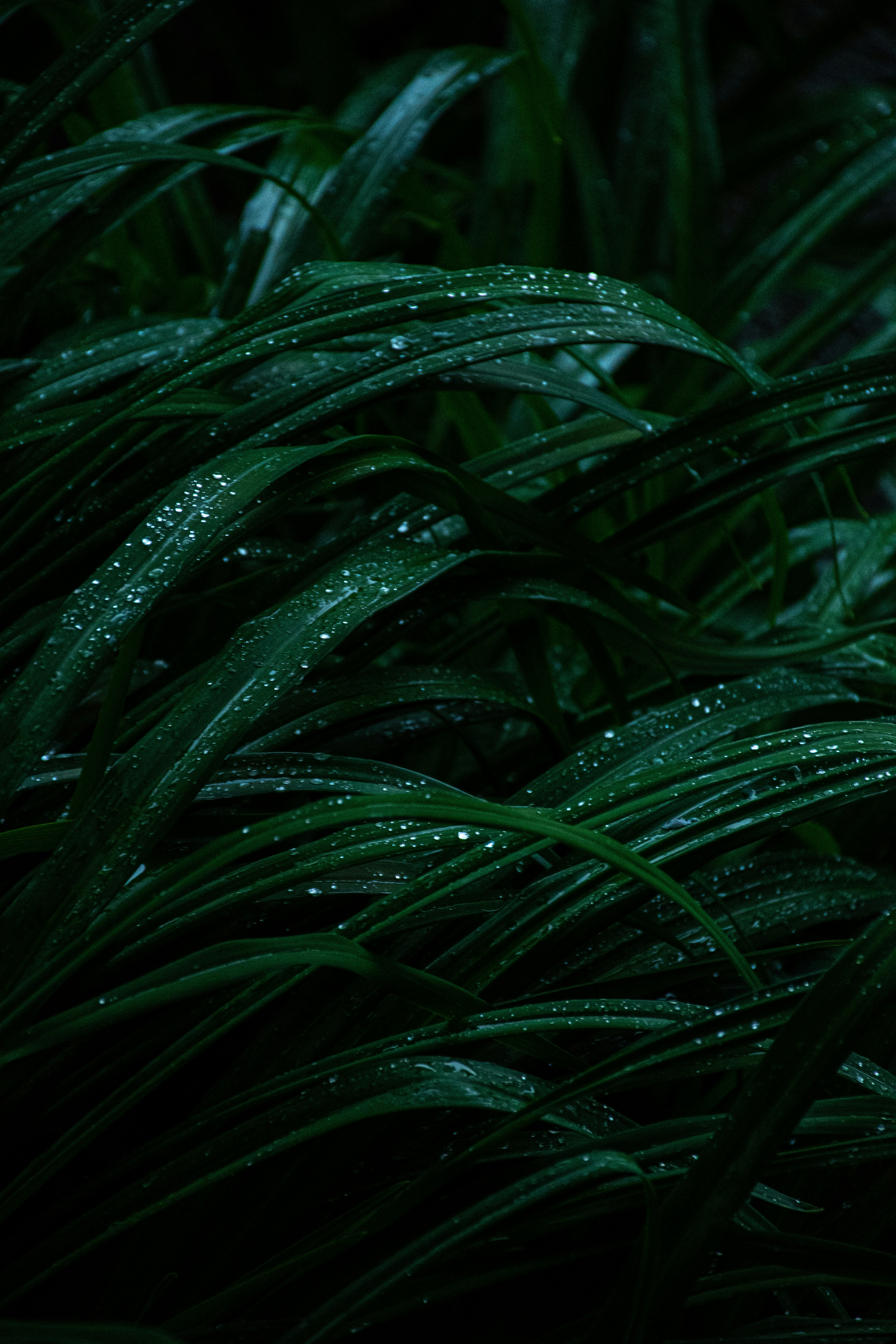 Photo by weirdlywired_jpg