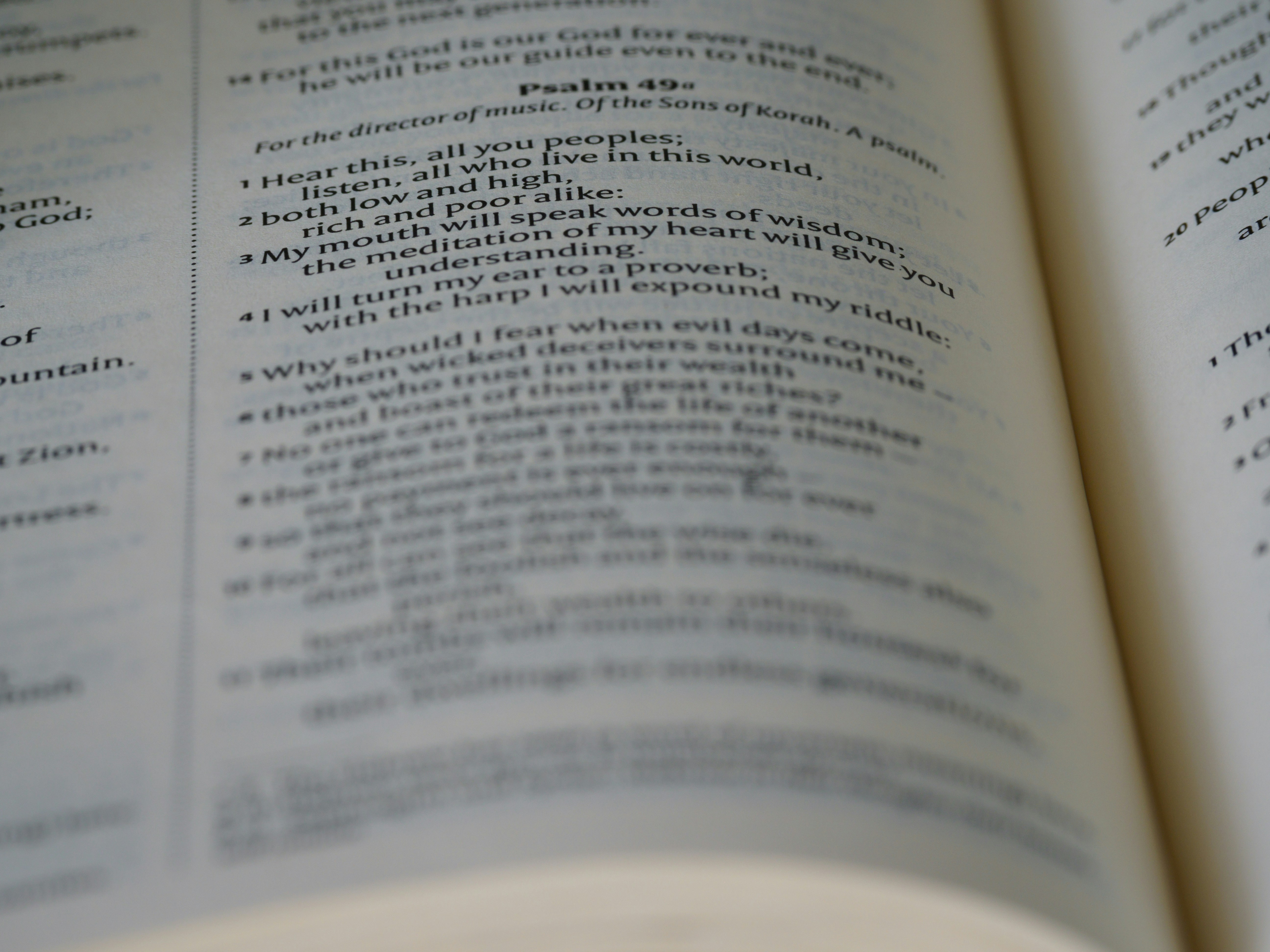 Photo by brett_jordan