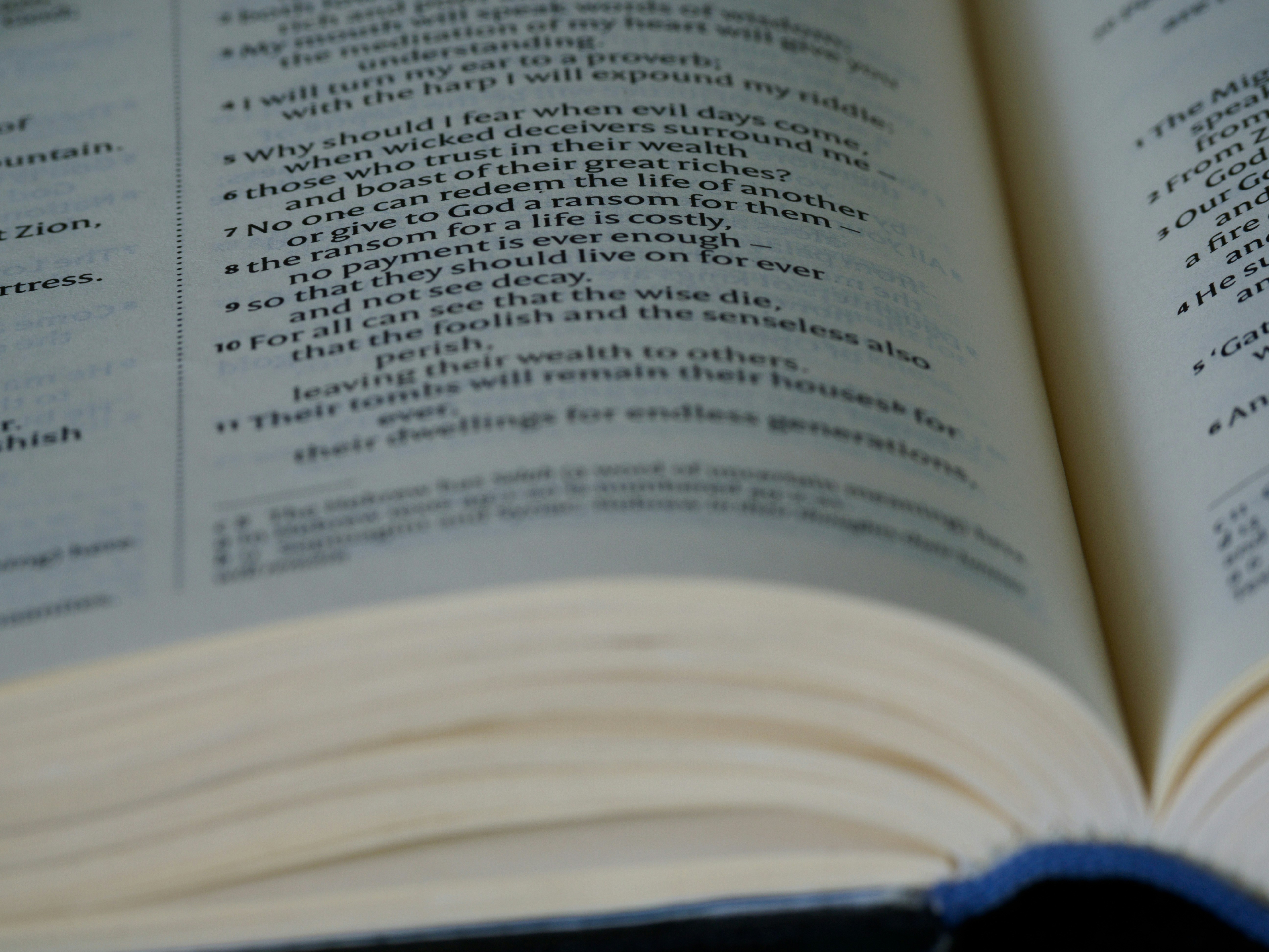 Photo by brett_jordan