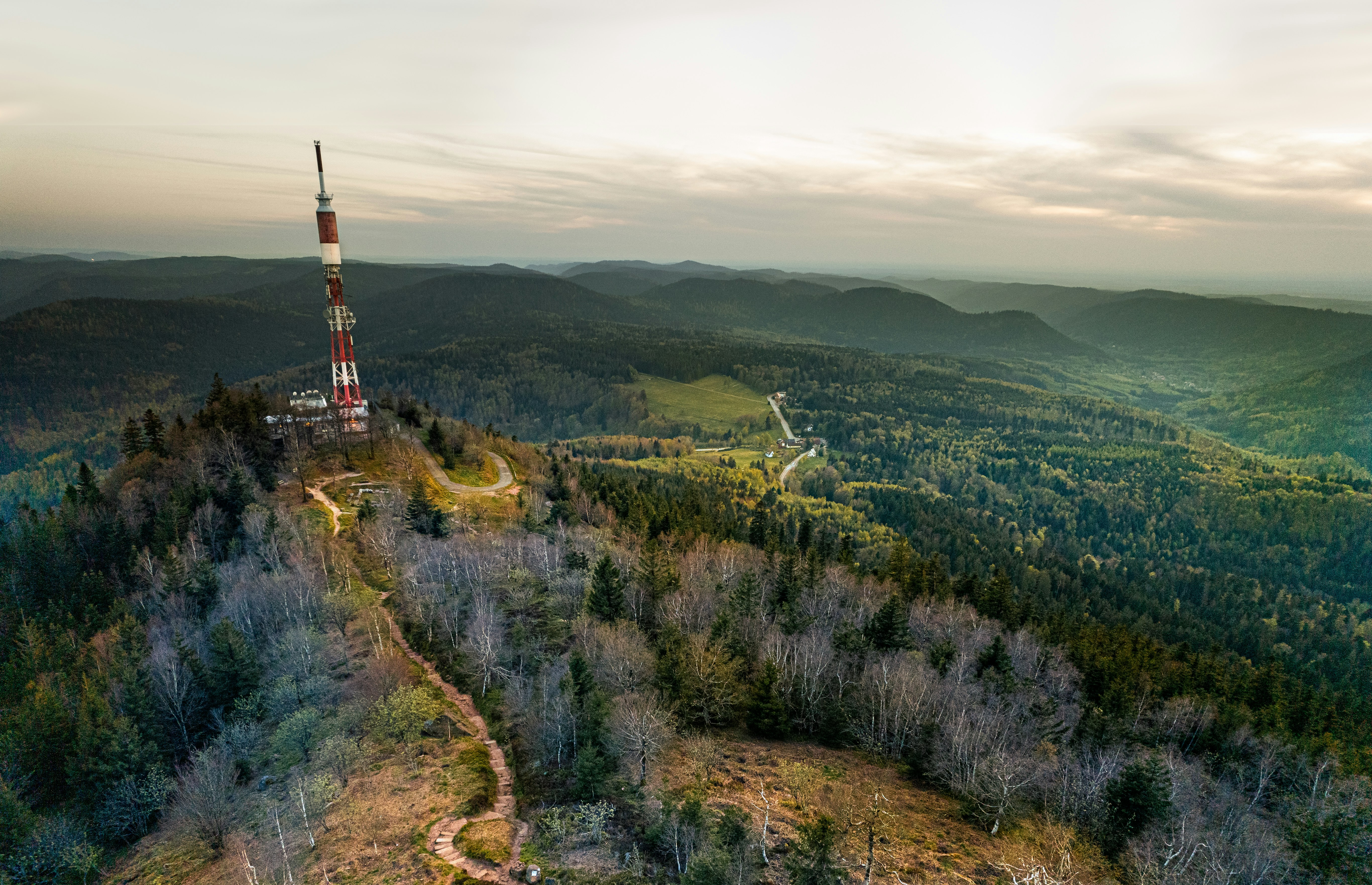 Une tour au milieu d’une forêt