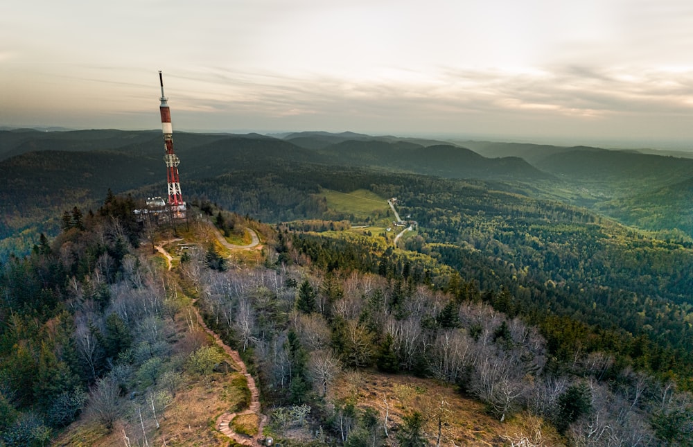 a tower in the middle of a forest