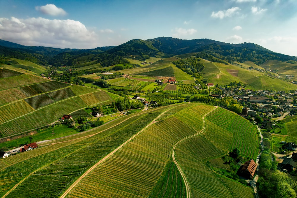 a green valley with a few houses