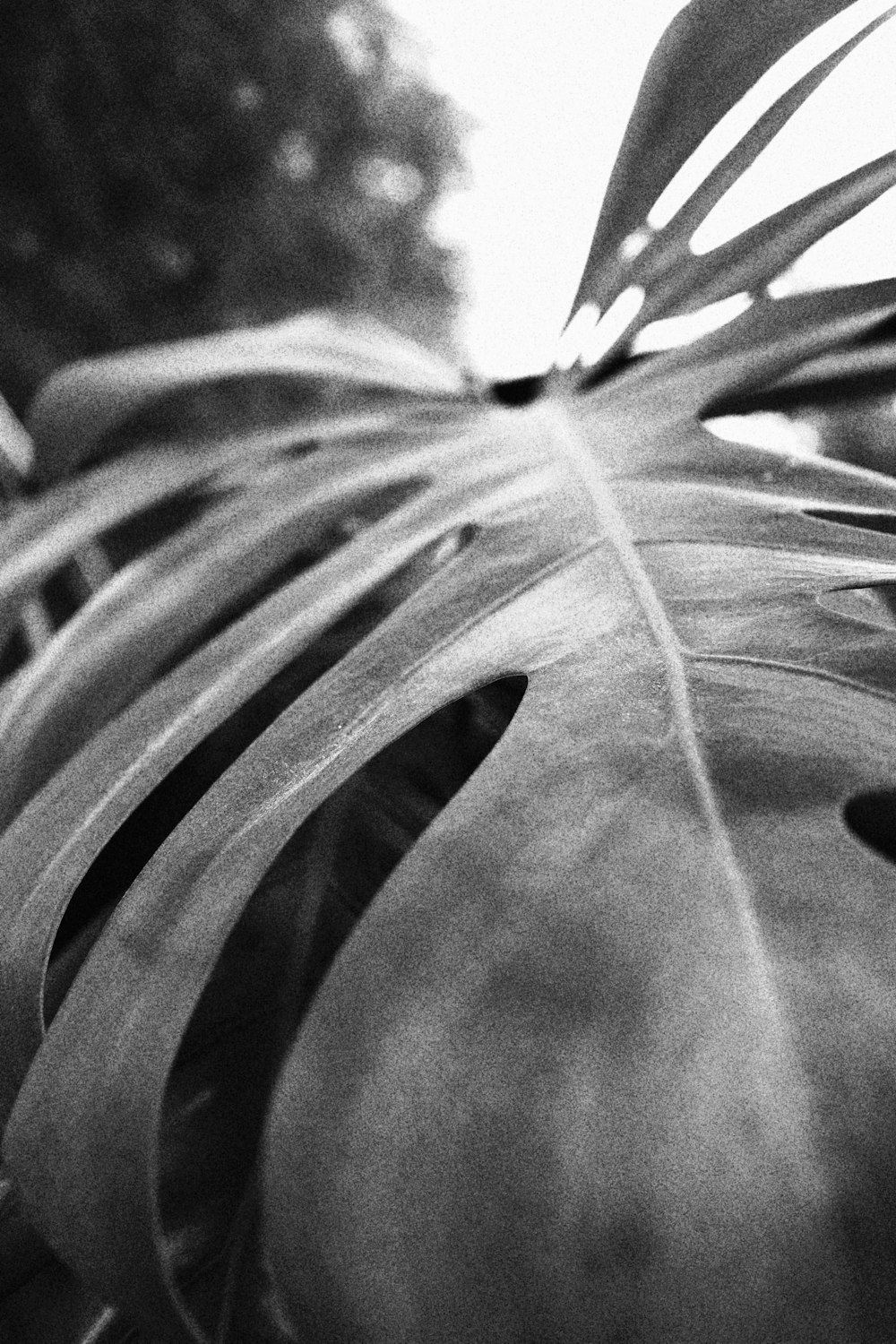 a close up of a person's arm