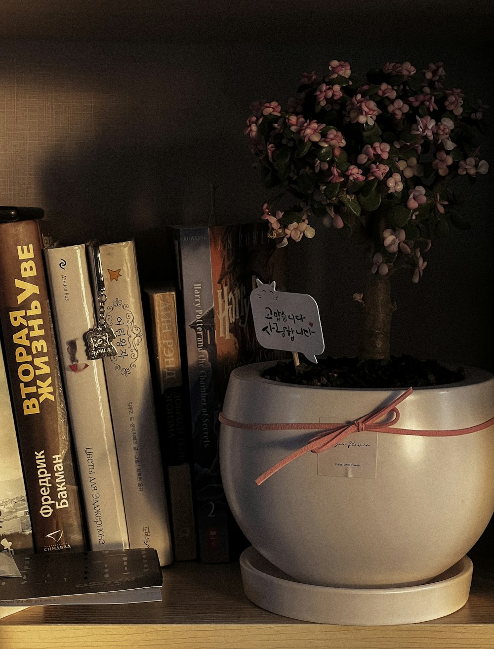 a stack of flyers on a table next to a book shelf