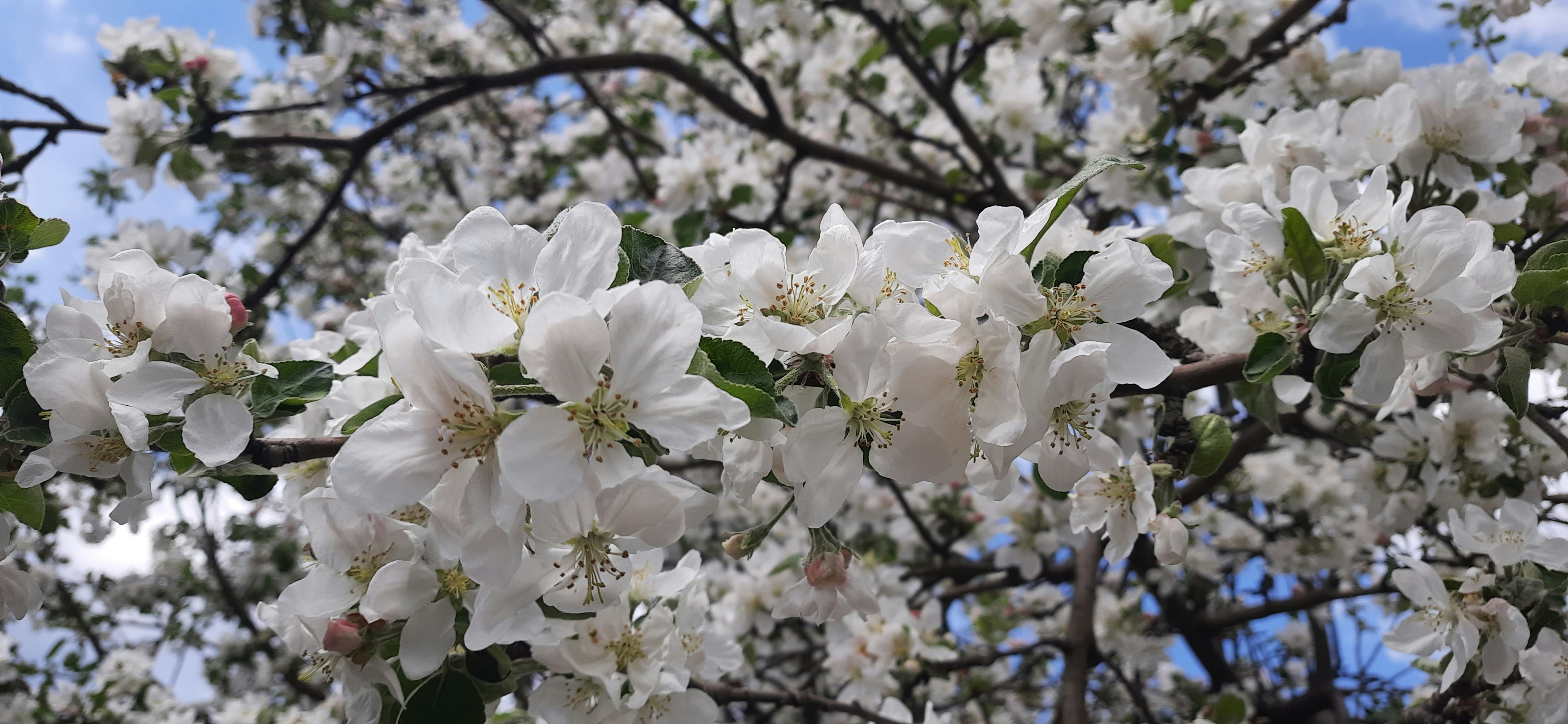 Photo by artamonovy_studio