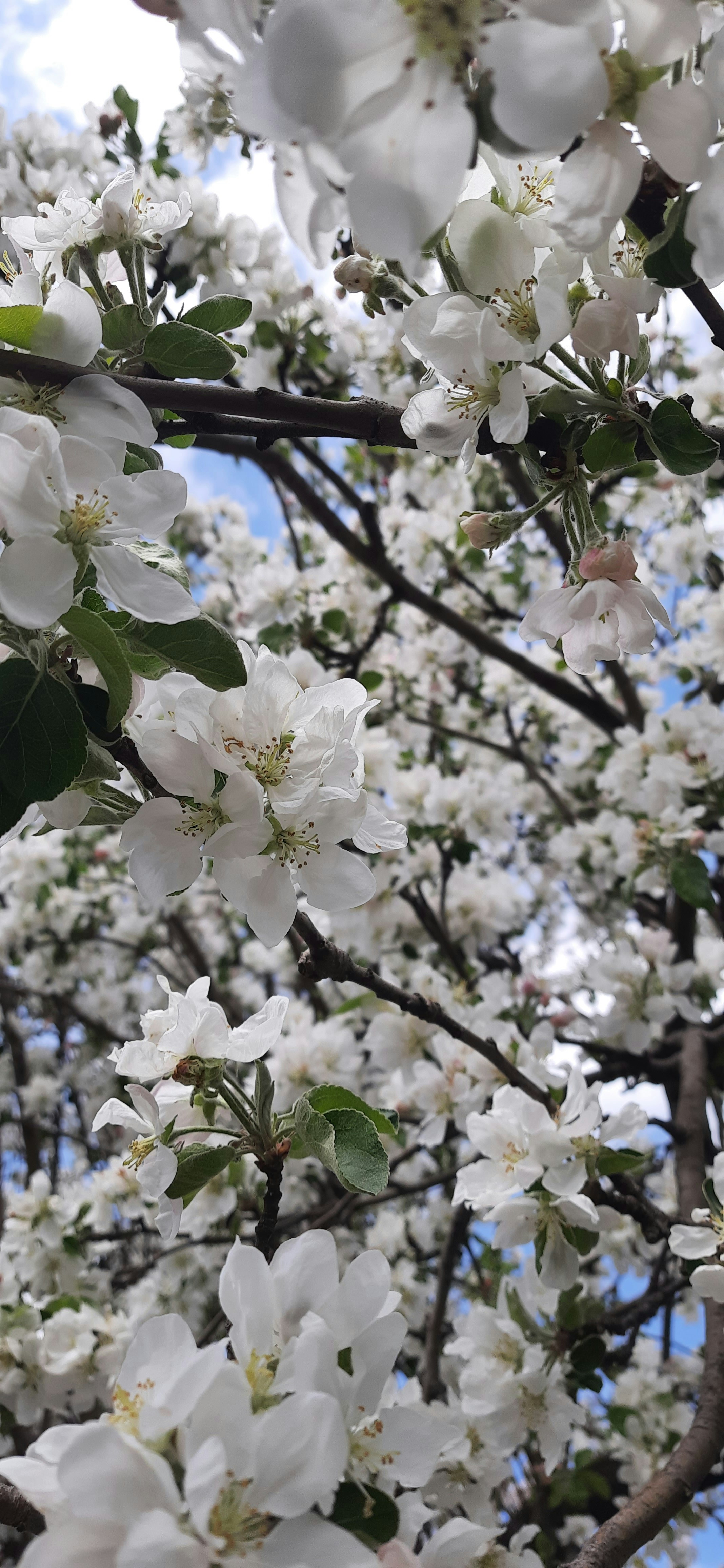 Photo by artamonovy_studio