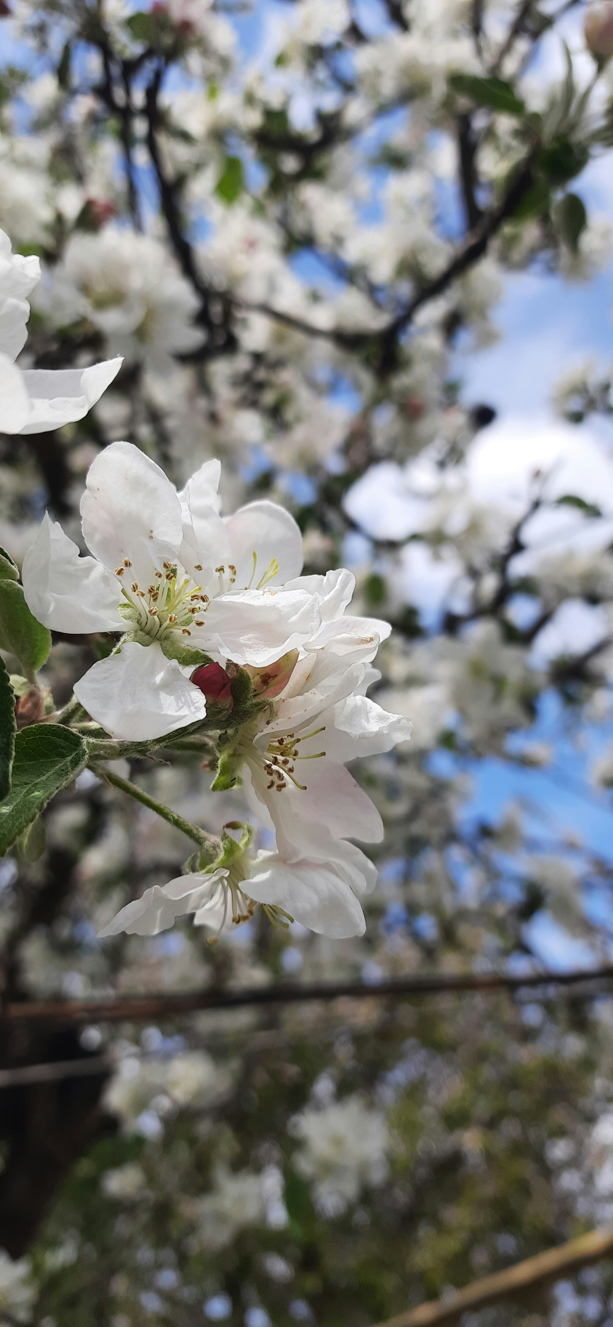 Photo by artamonovy_studio