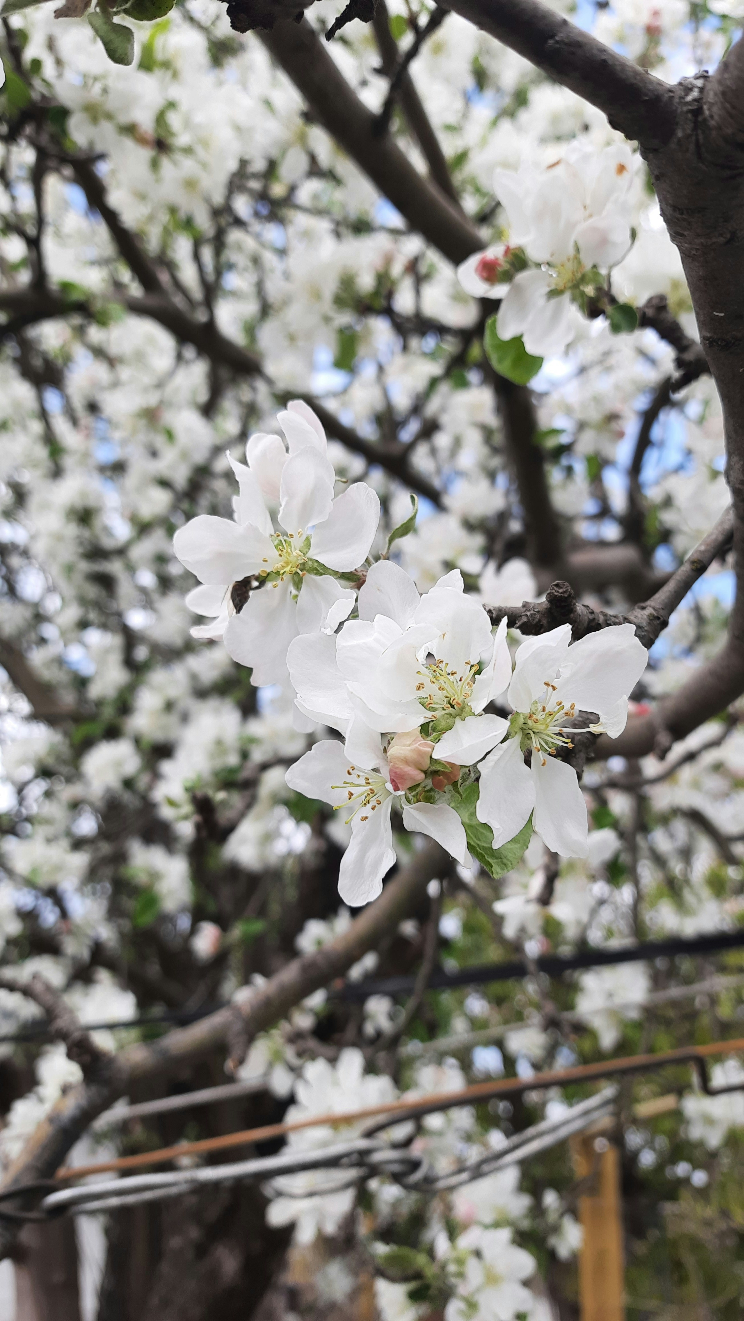 Photo by artamonovy_studio