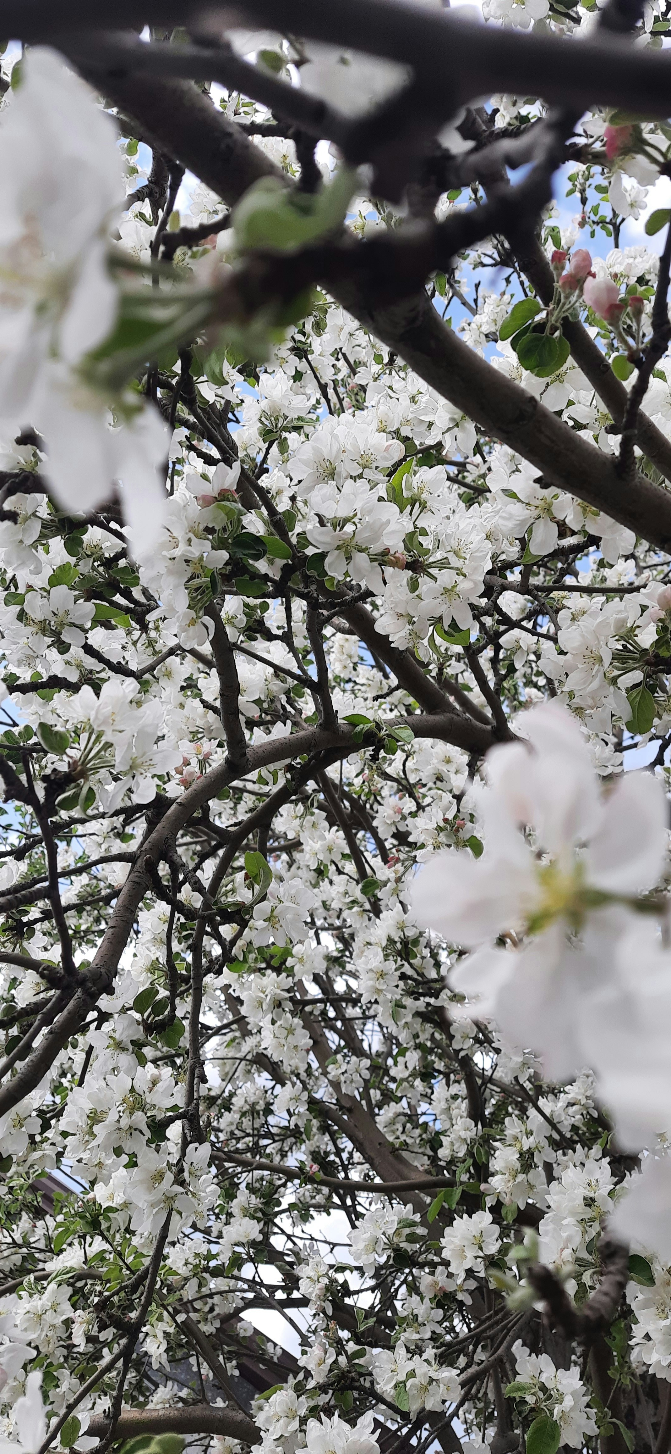 Photo by artamonovy_studio