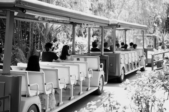A black and white photograph featuring an open tram or tour bus with multiple passengers seated. The tram is moving through a lush, vegetated area, possibly in a park or zoo setting. The people on the tram are looking forward, and some wear sunglasses.