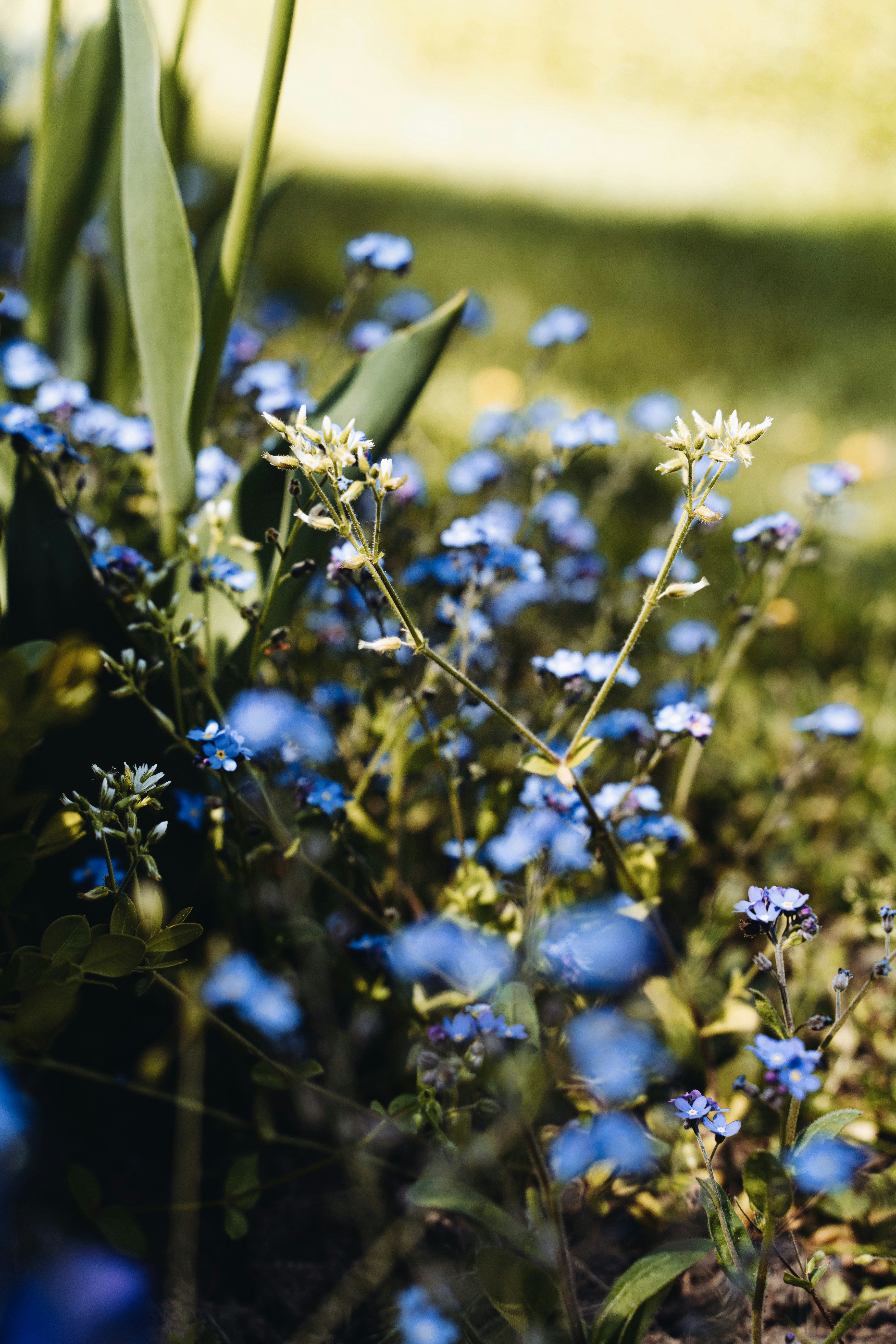 Photo by djordjevukojicic