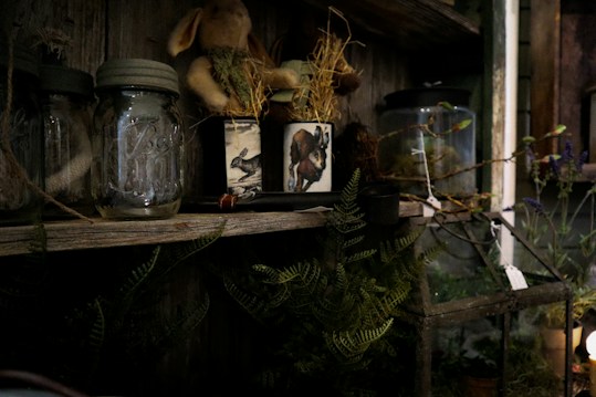 Dimly lit rustic shelf adorned with vintage glass jars, a plush toy bunny with straw details, framed illustrations of animals, and assorted greenery. The setting evokes a sense of nostalgia and nature, with various branches and small plants surrounded by wood and glass elements.