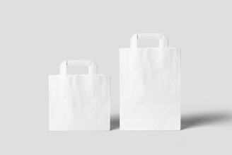 Two white paper bags with square handles are placed side by side on a light gray background, casting subtle shadows beneath them.