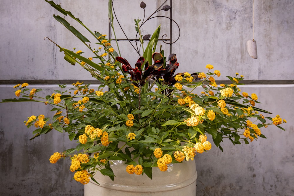a pot of yellow flowers