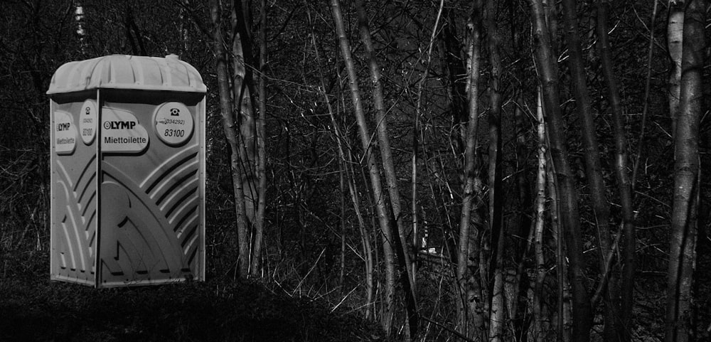 a mailbox in the woods