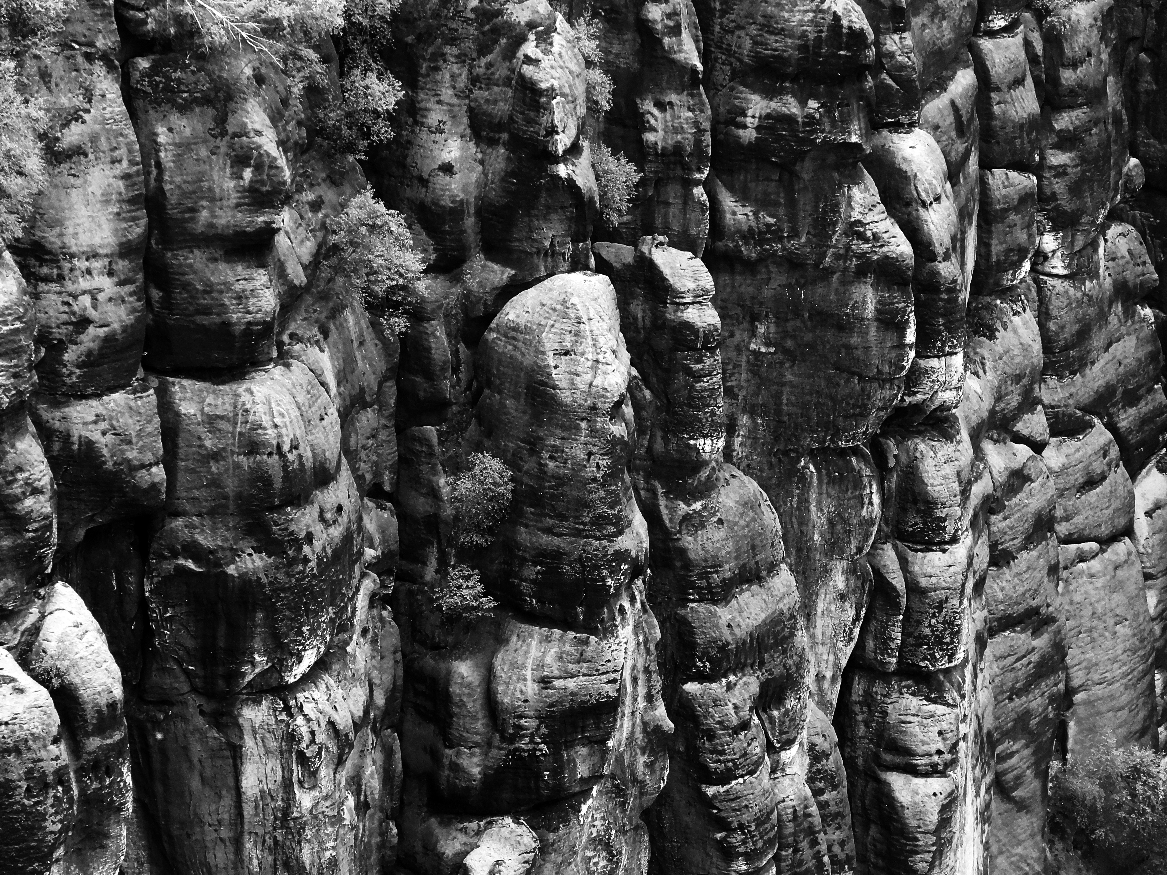 Photo by jandira_sonnendeck