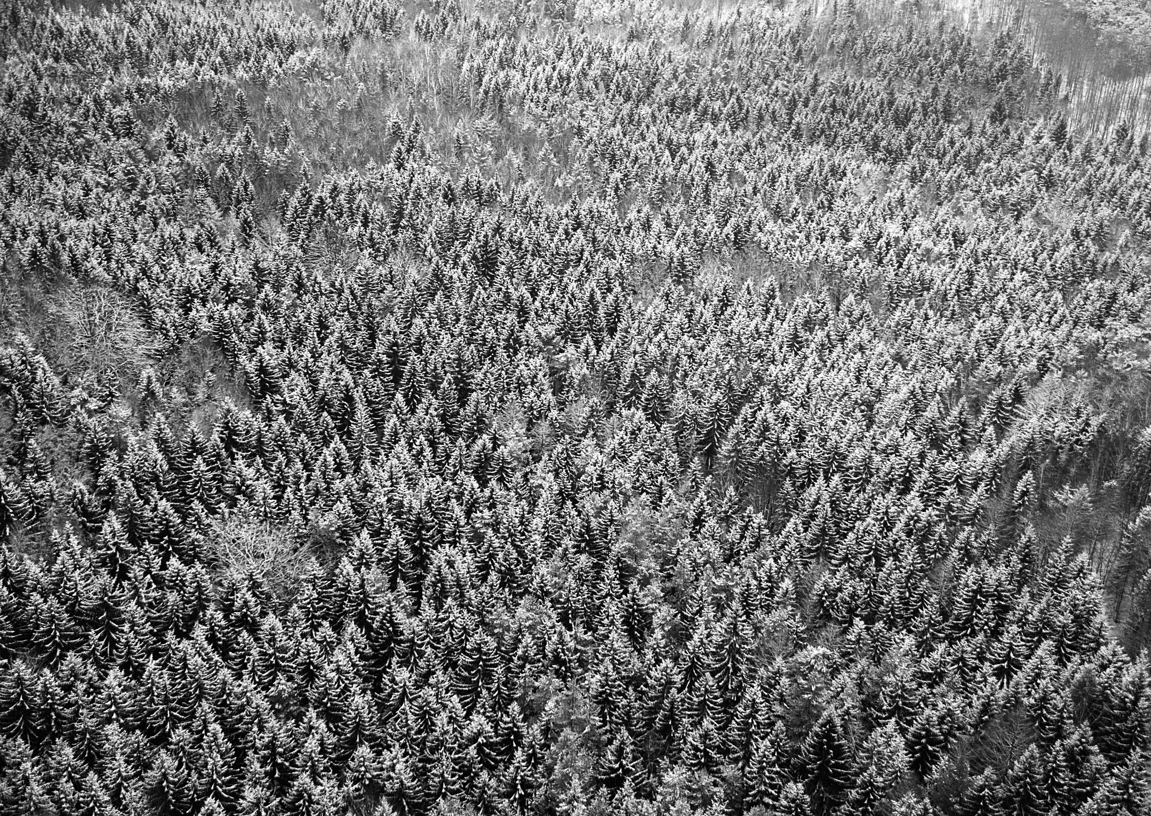 Photo by jandira_sonnendeck