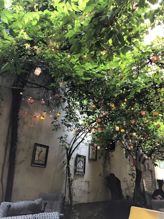 A cozy outdoor seating area with lush greenery and comfortable chairs under string lights.