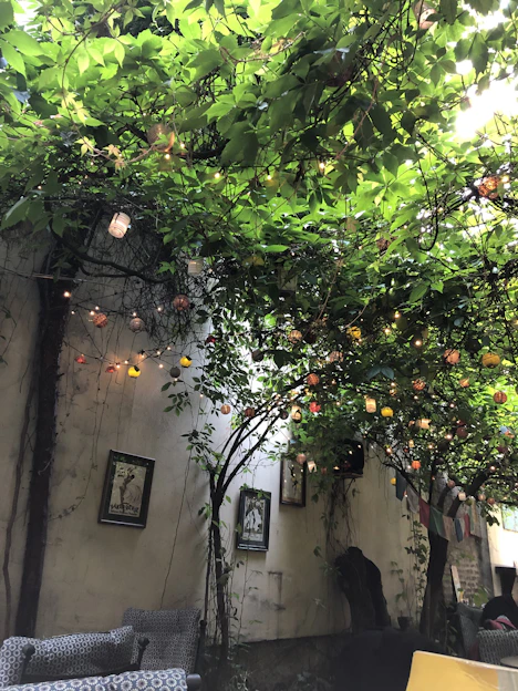 A softly lit photo of the charming venue at 225 N RR Ave, surrounded by delicate greenery under a pastel sky.